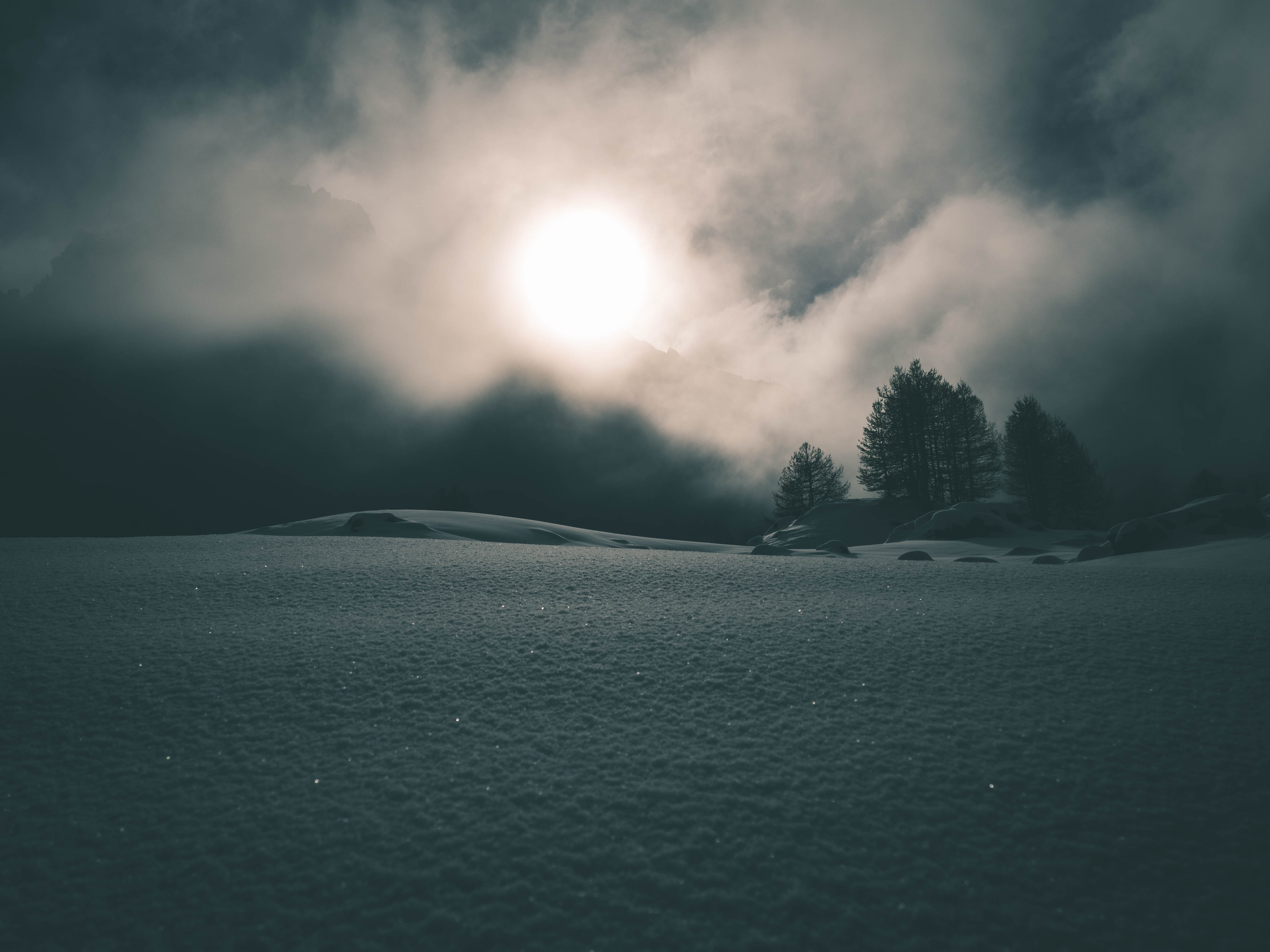 Free download wallpaper Fog, Trees, Snow, Nature, Night on your PC desktop
