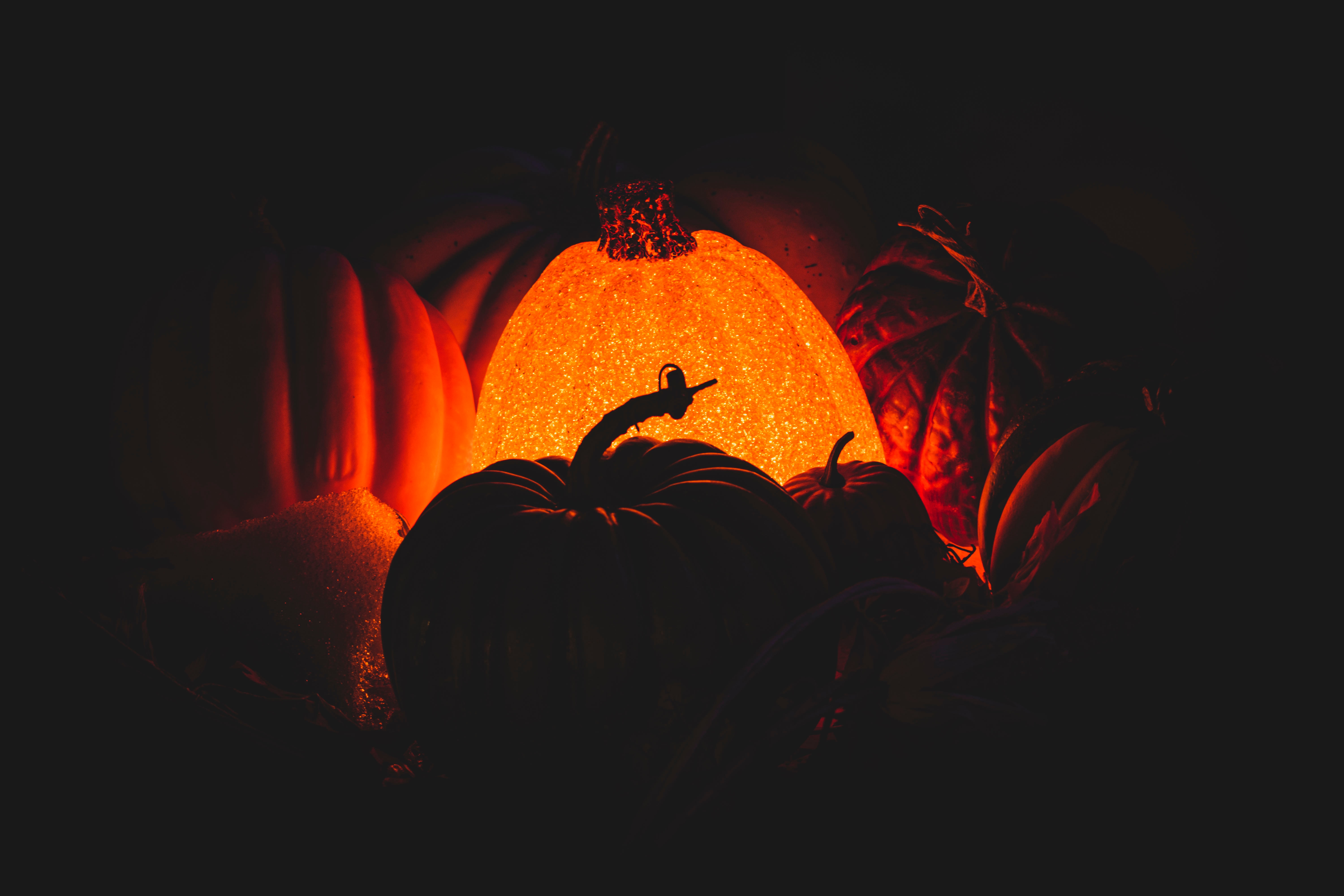 pumpkin, dark, darkness, glow mobile wallpaper