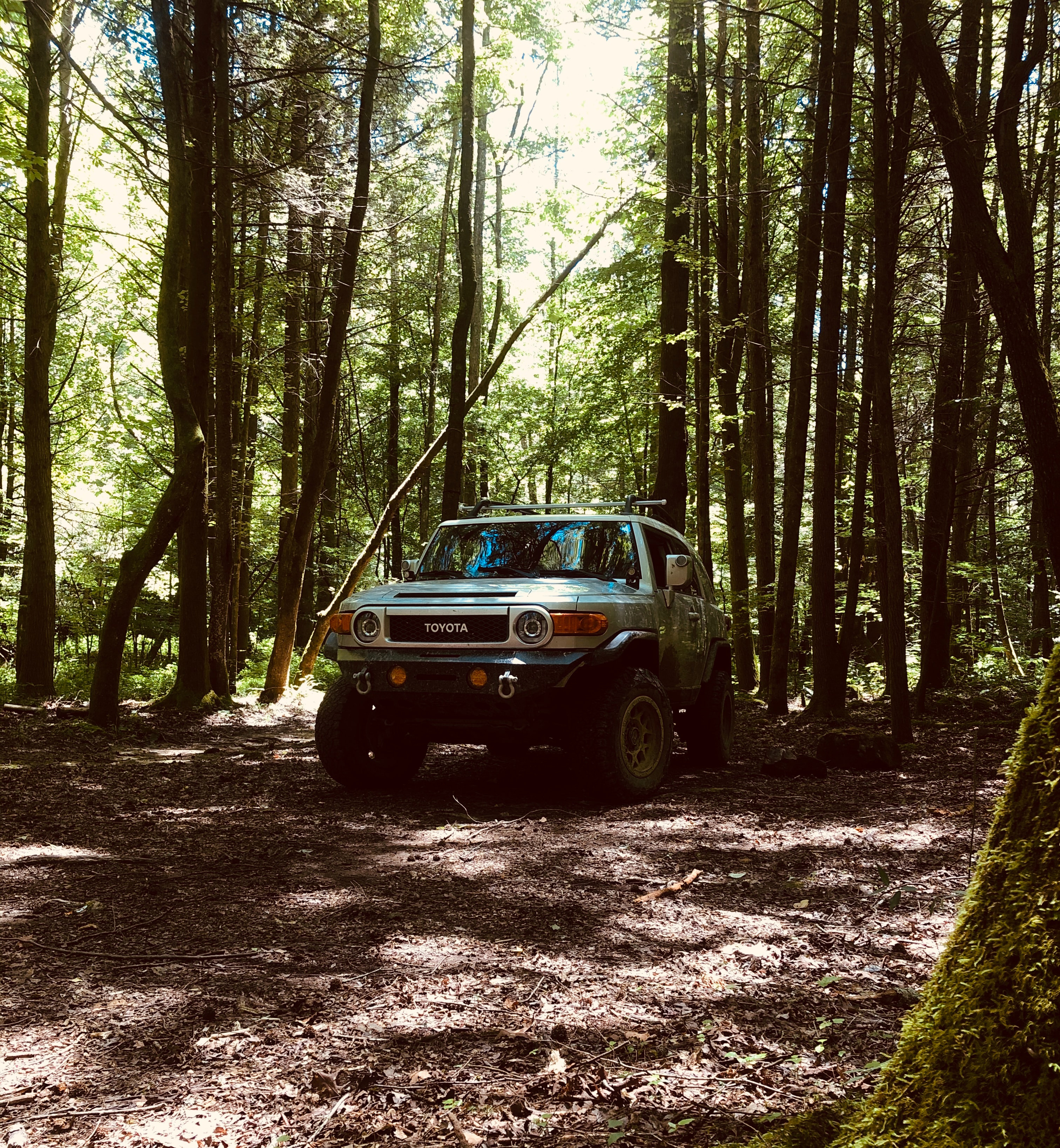 Mobile wallpaper toyota, jeep, cars, forest, suv, front view