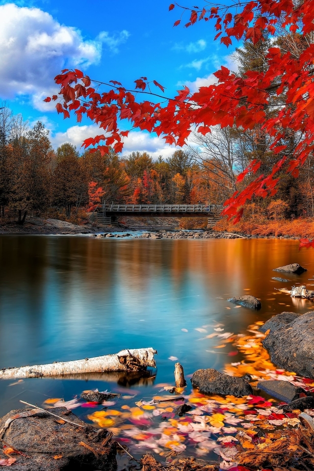 Download mobile wallpaper Nature, Water, Lake, Tree, Leaf, Fall, Earth, Bridge for free.