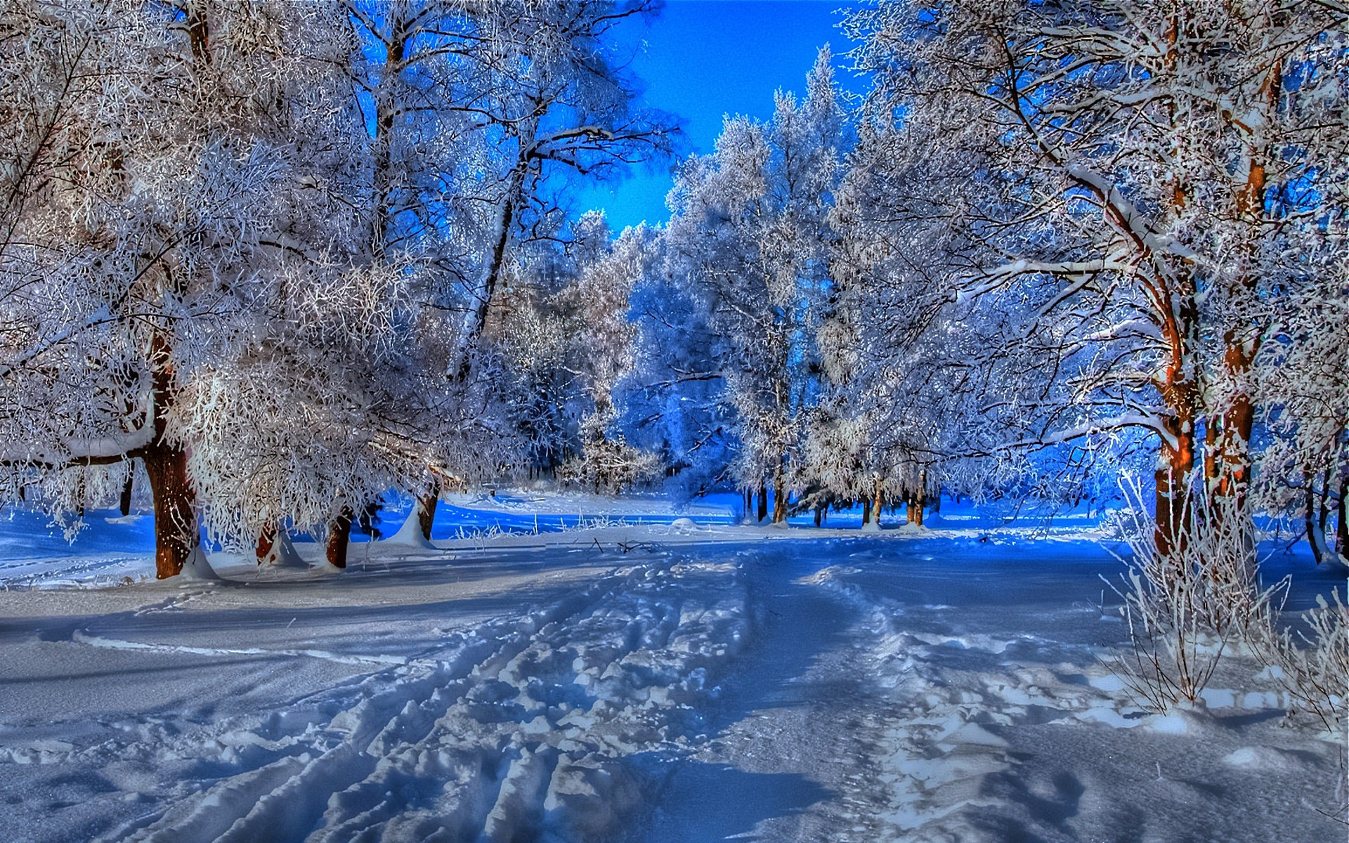 Скачать обои бесплатно Зима, Снег, Дорога, Лес, Дерево, Сумерки, Земля/природа картинка на рабочий стол ПК