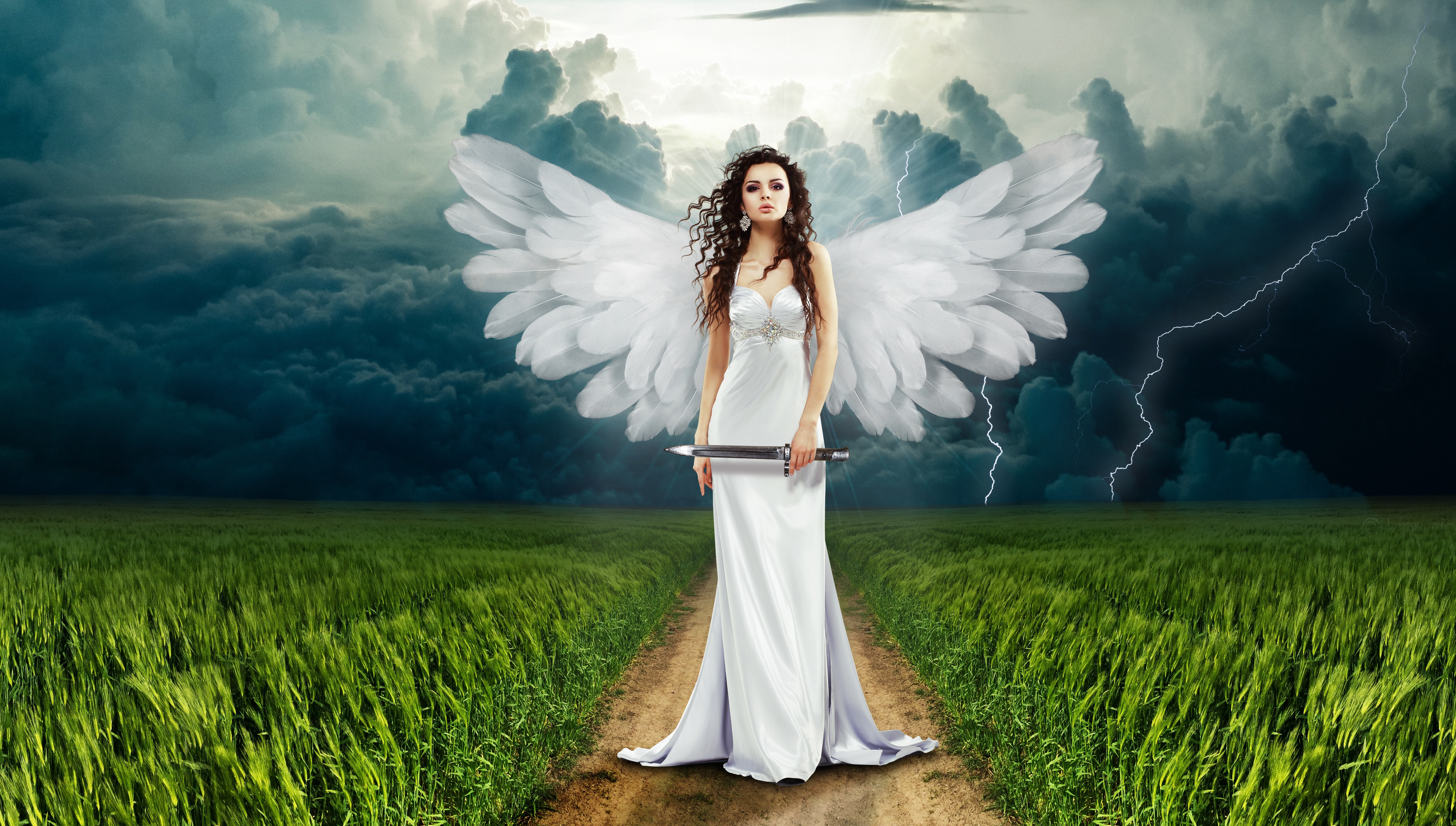 Free download wallpaper Fantasy, Sky, Field, Wings, Storm, Angel, Cloud, Long Hair on your PC desktop