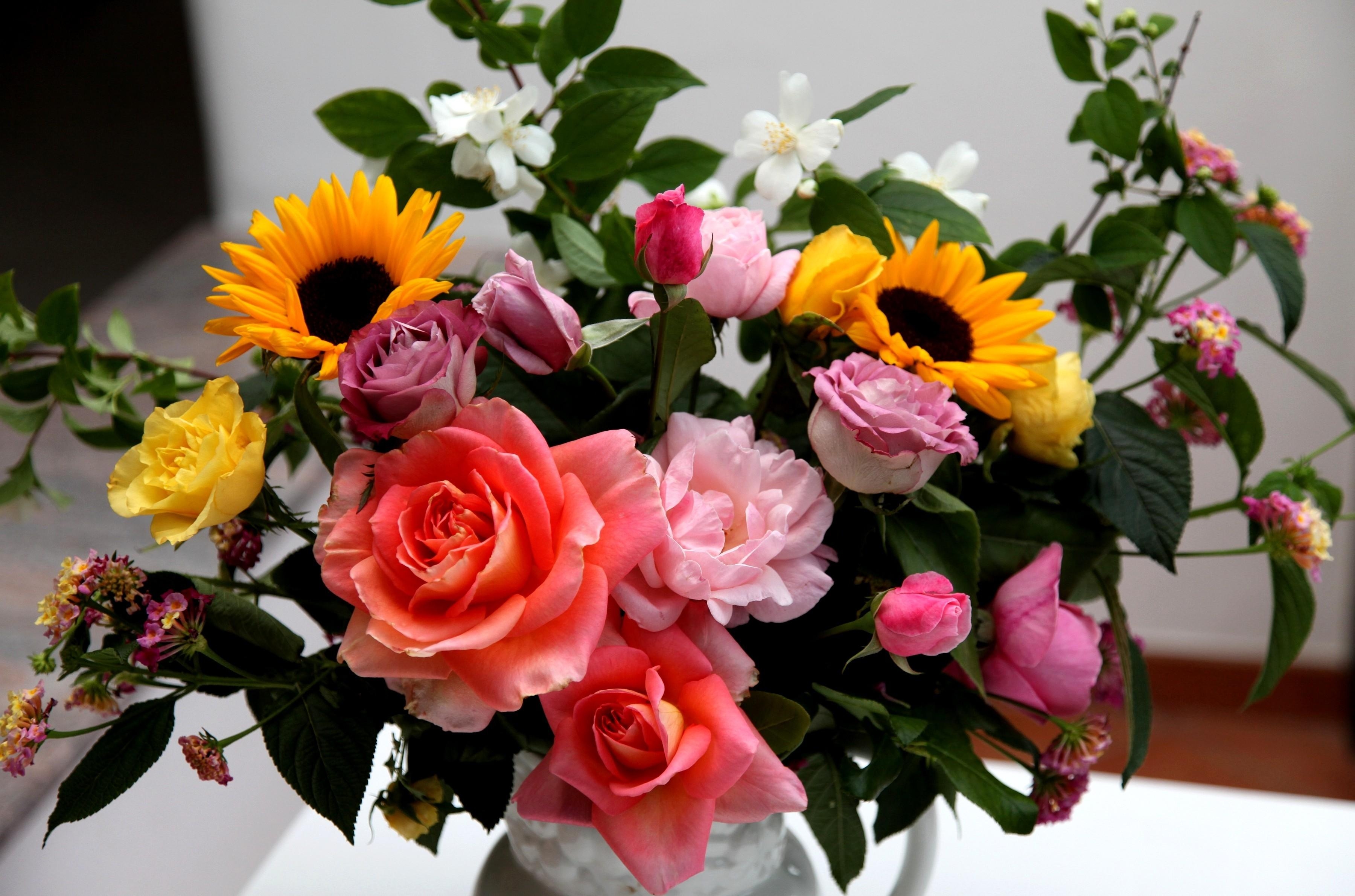 sunflowers, roses, flowers, bouquet, vase, composition, jasmine