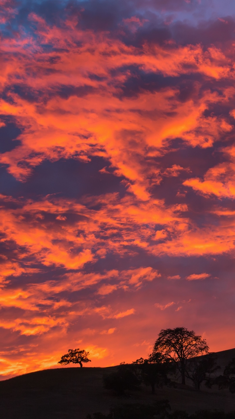 Descarga gratuita de fondo de pantalla para móvil de Cielo, Tierra/naturaleza.