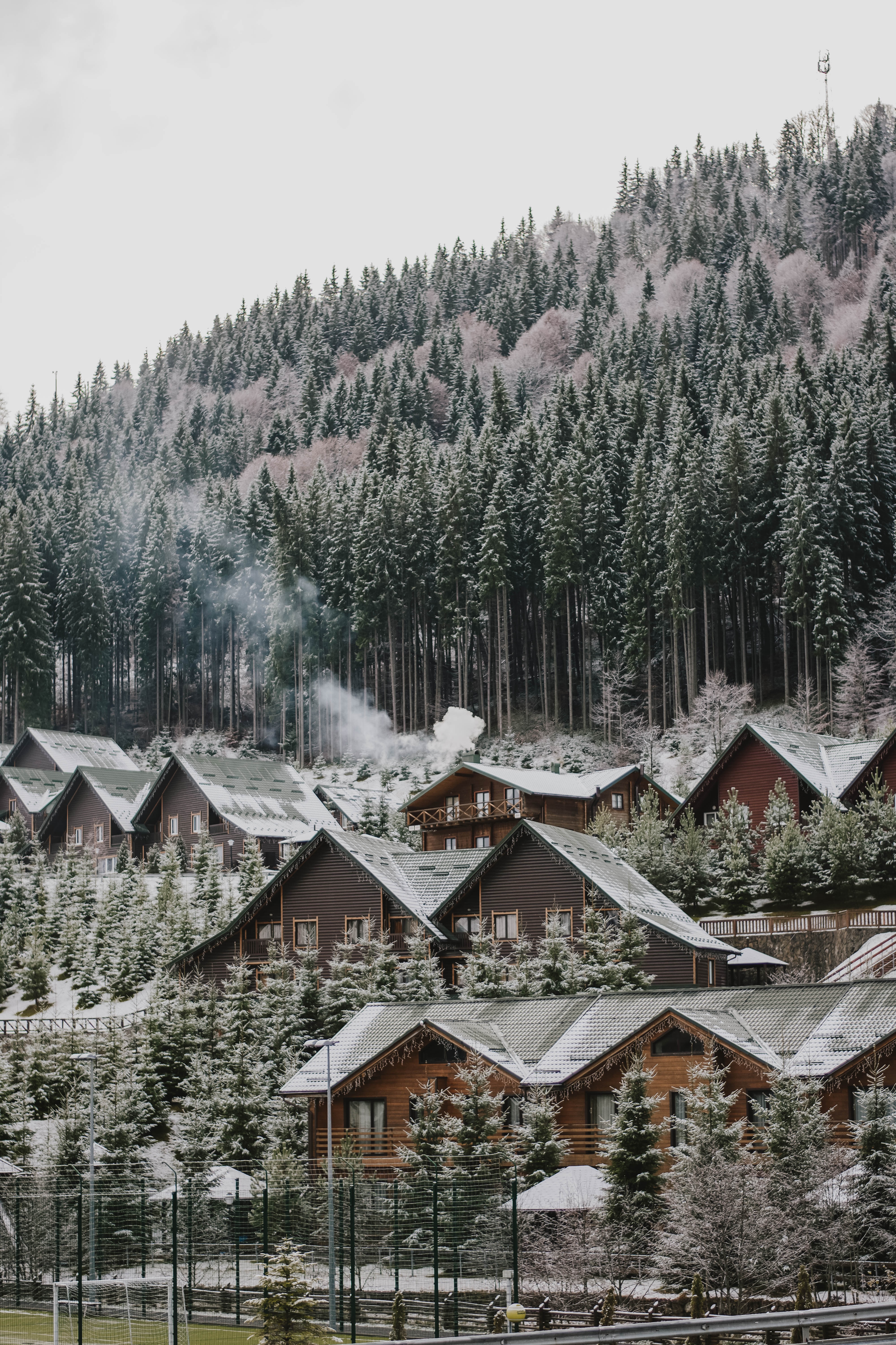 forest, nature, winter, houses, snow, slope Full HD