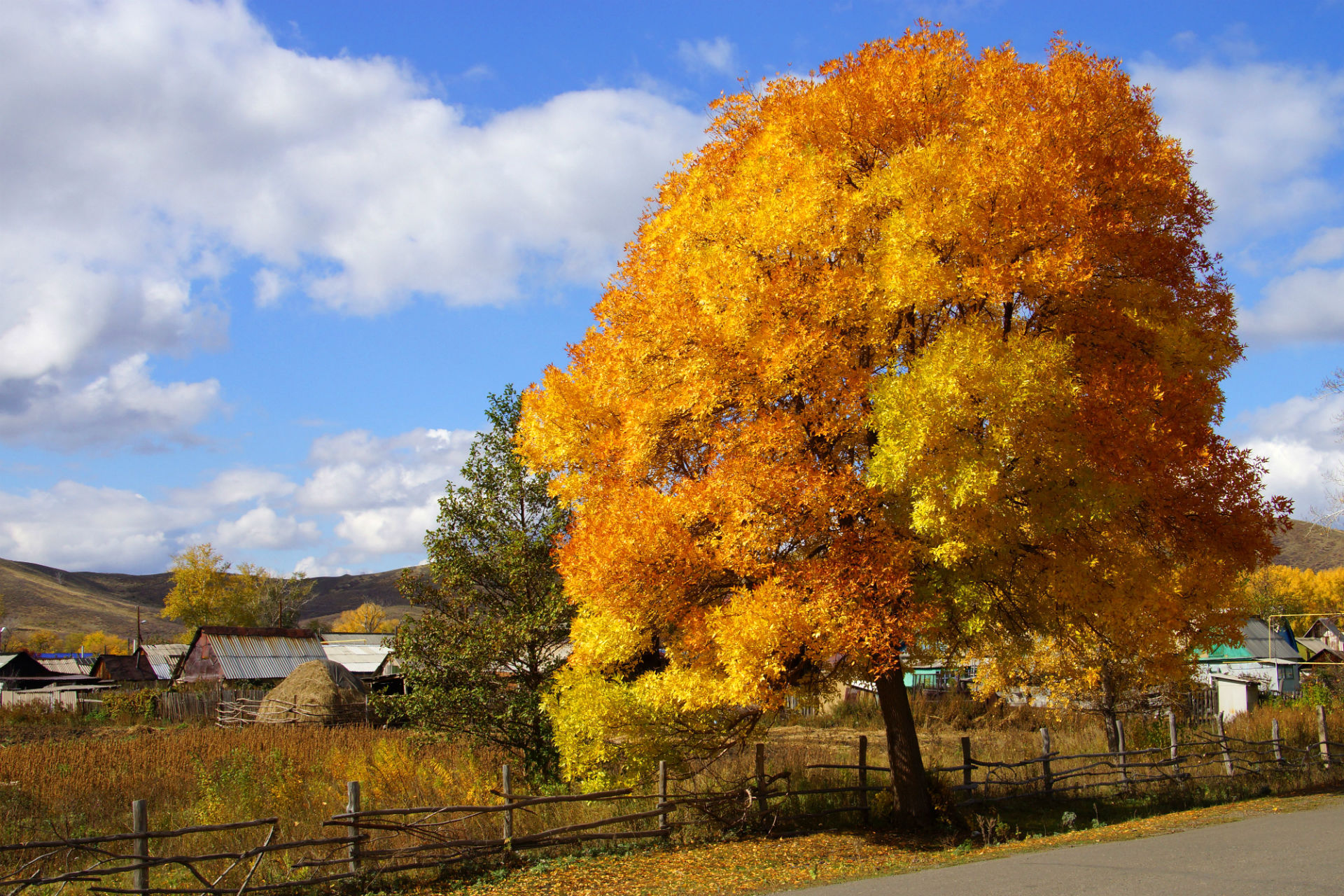 551005壁紙のダウンロード写真撮影, 秋, 農場, 葉, 自然, シーズン-スクリーンセーバーと写真を無料で
