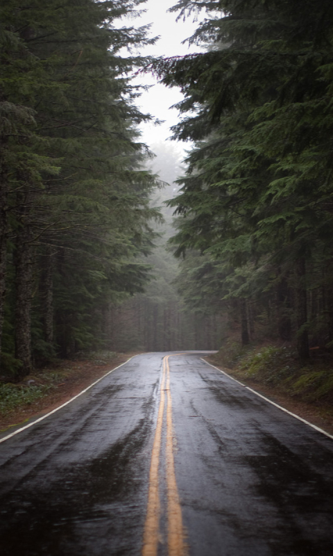 Download mobile wallpaper Rain, Road, Forest, Man Made for free.