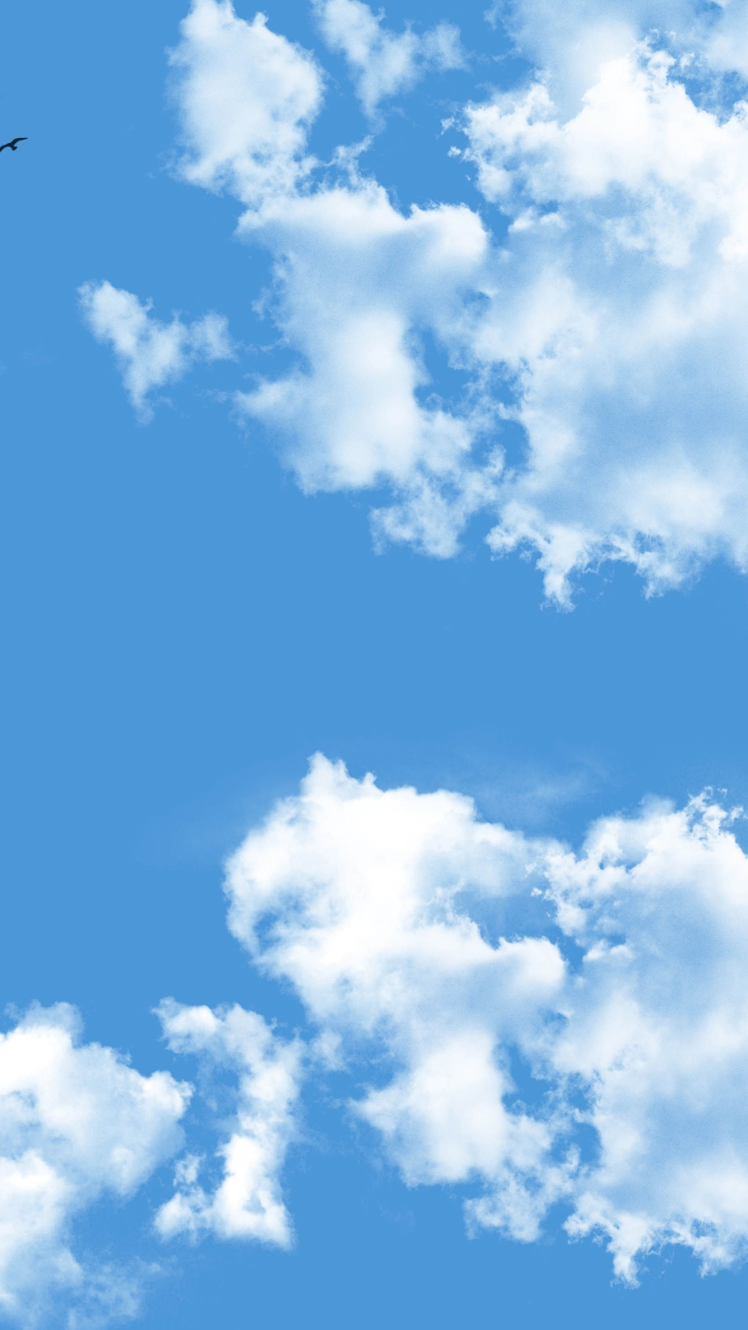 Download mobile wallpaper Sky, Bird, Earth, Cloud for free.