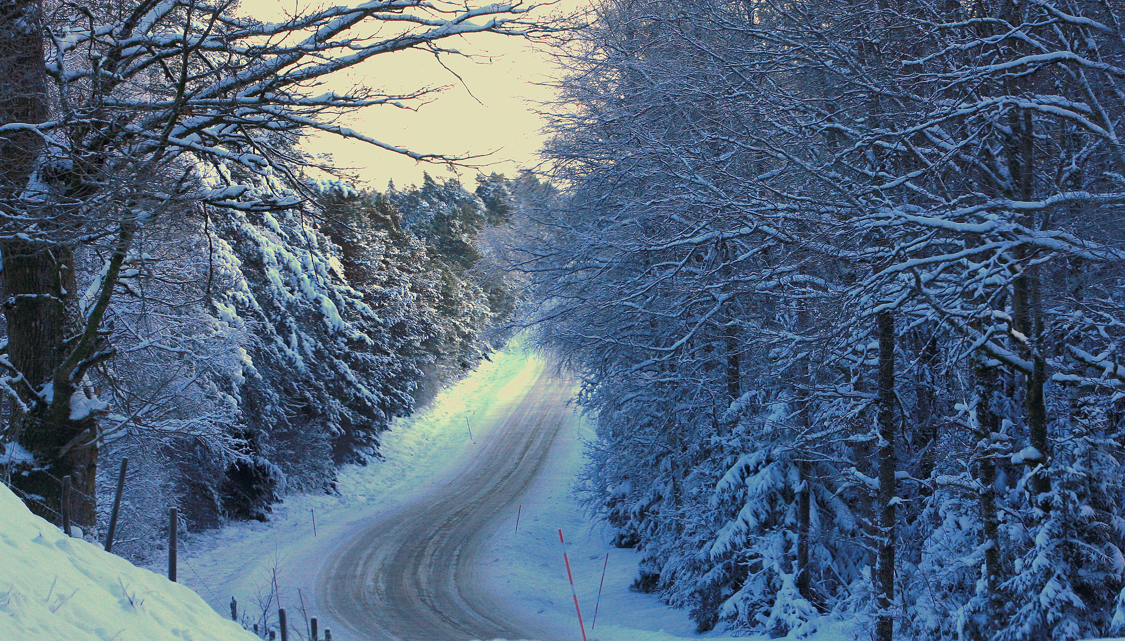 Download mobile wallpaper Winter, Snow, Road, Tree, Man Made for free.