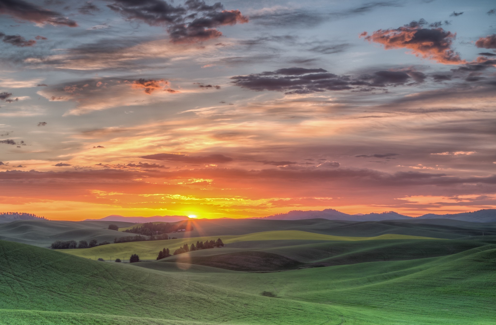 Handy-Wallpaper Feld, Wolke, Sonnenuntergang, Erde/natur kostenlos herunterladen.