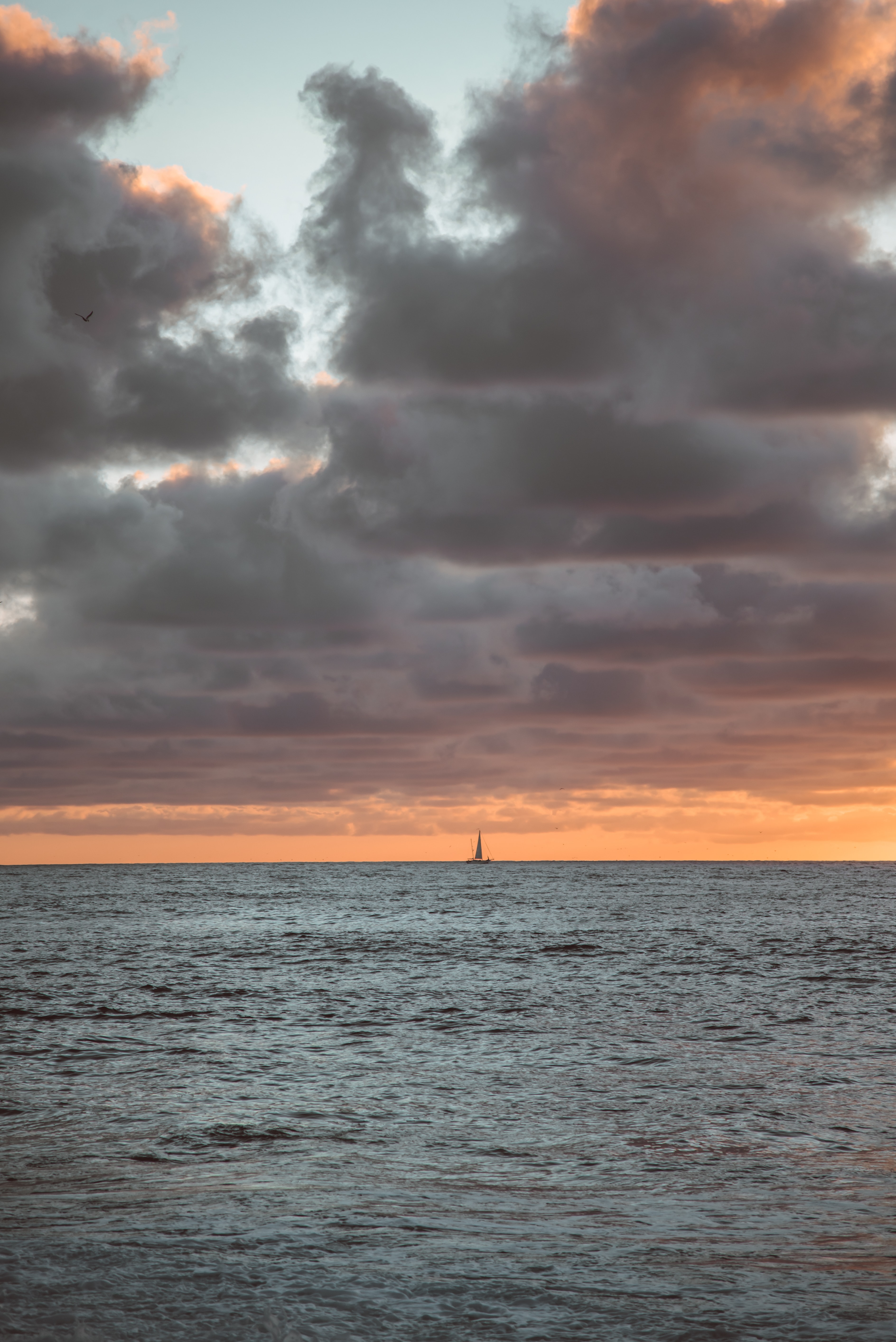 Download mobile wallpaper Sailfish, Horizon, Sea, Nature, Sailboat for free.