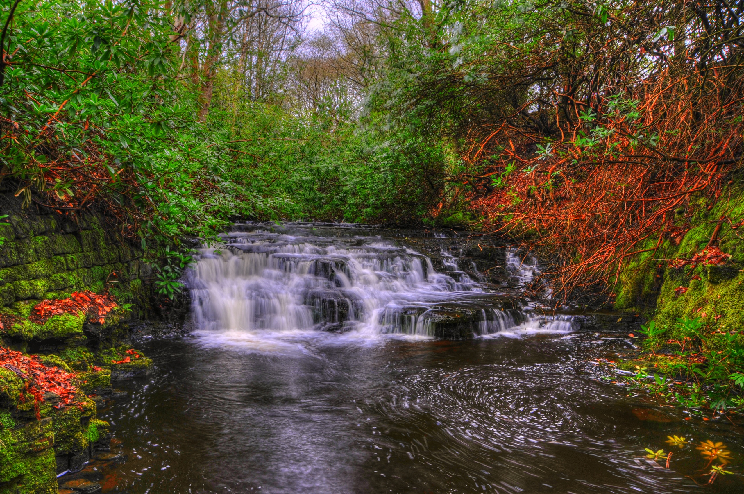 Download mobile wallpaper Waterfalls, Waterfall, Forest, Tree, Fall, Earth, England, Upper Anglezark for free.