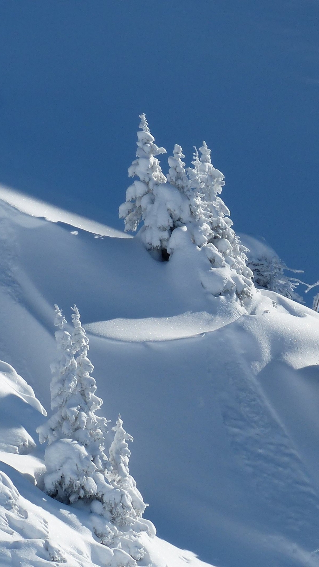 Handy-Wallpaper Winter, Schnee, Erde/natur kostenlos herunterladen.