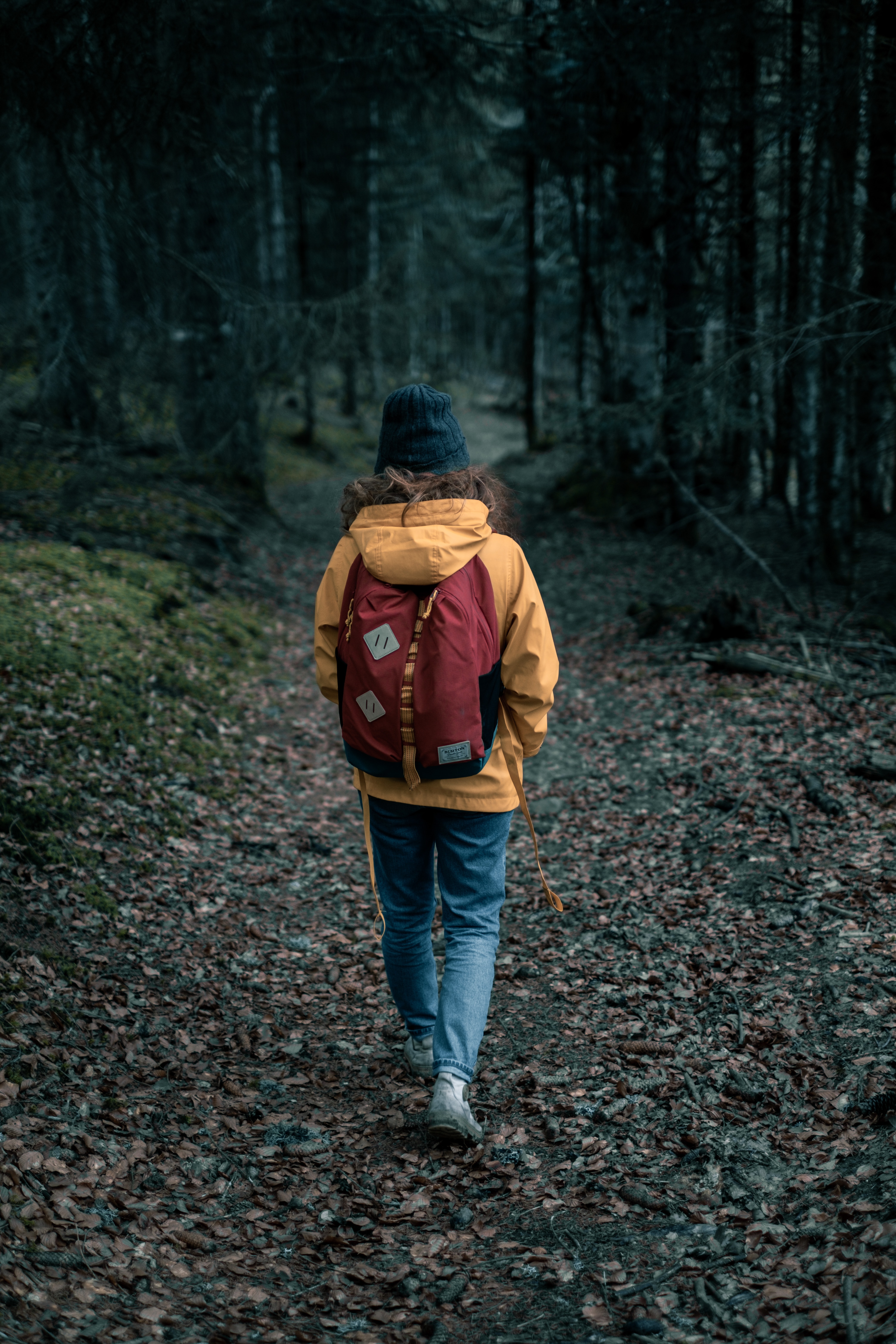 person, loneliness, stroll, human, forest, miscellanea, nature, miscellaneous Full HD