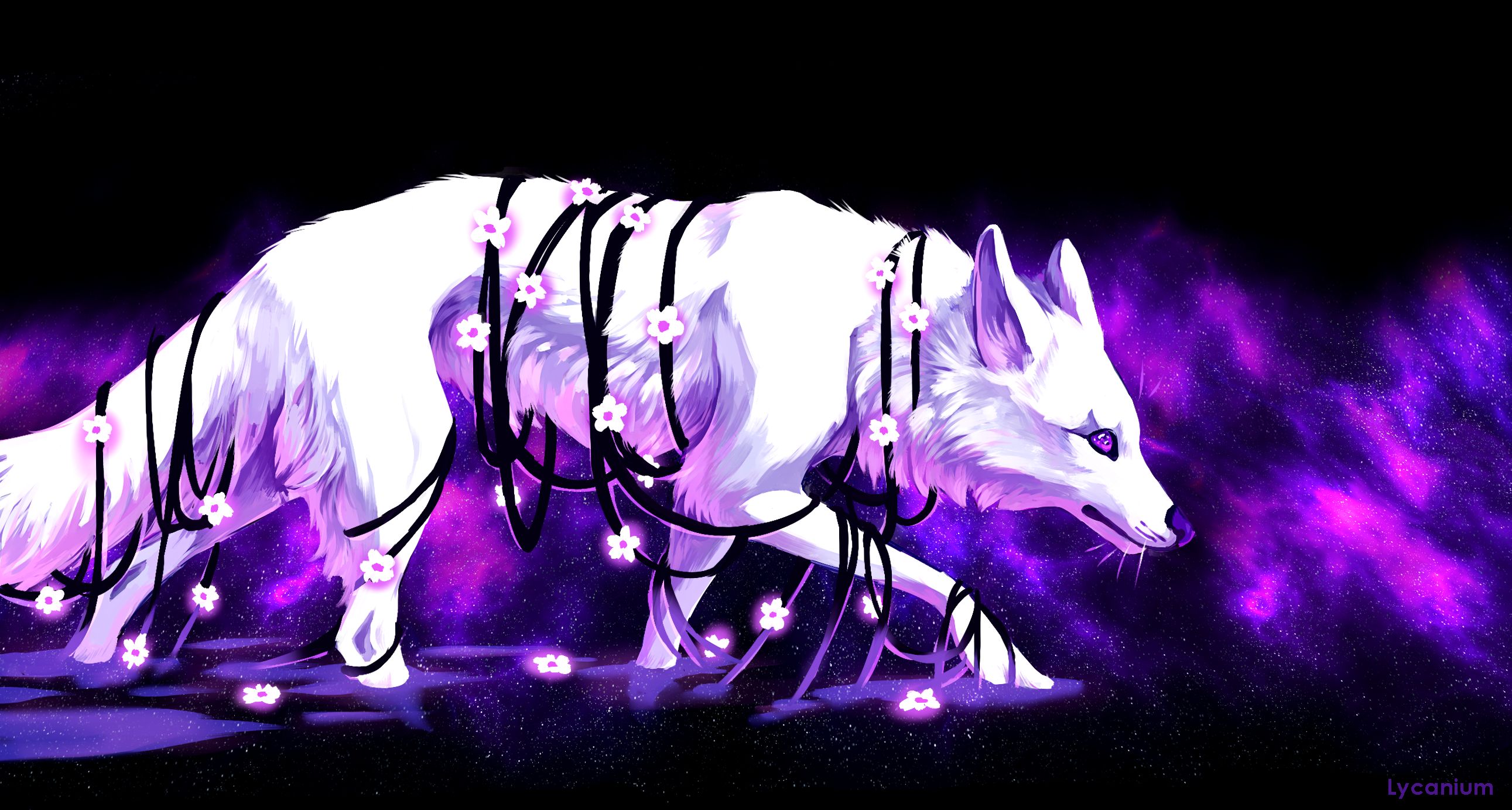 Download mobile wallpaper Fantasy, Wolf, Space, Purple, Fantasy Animals for free.