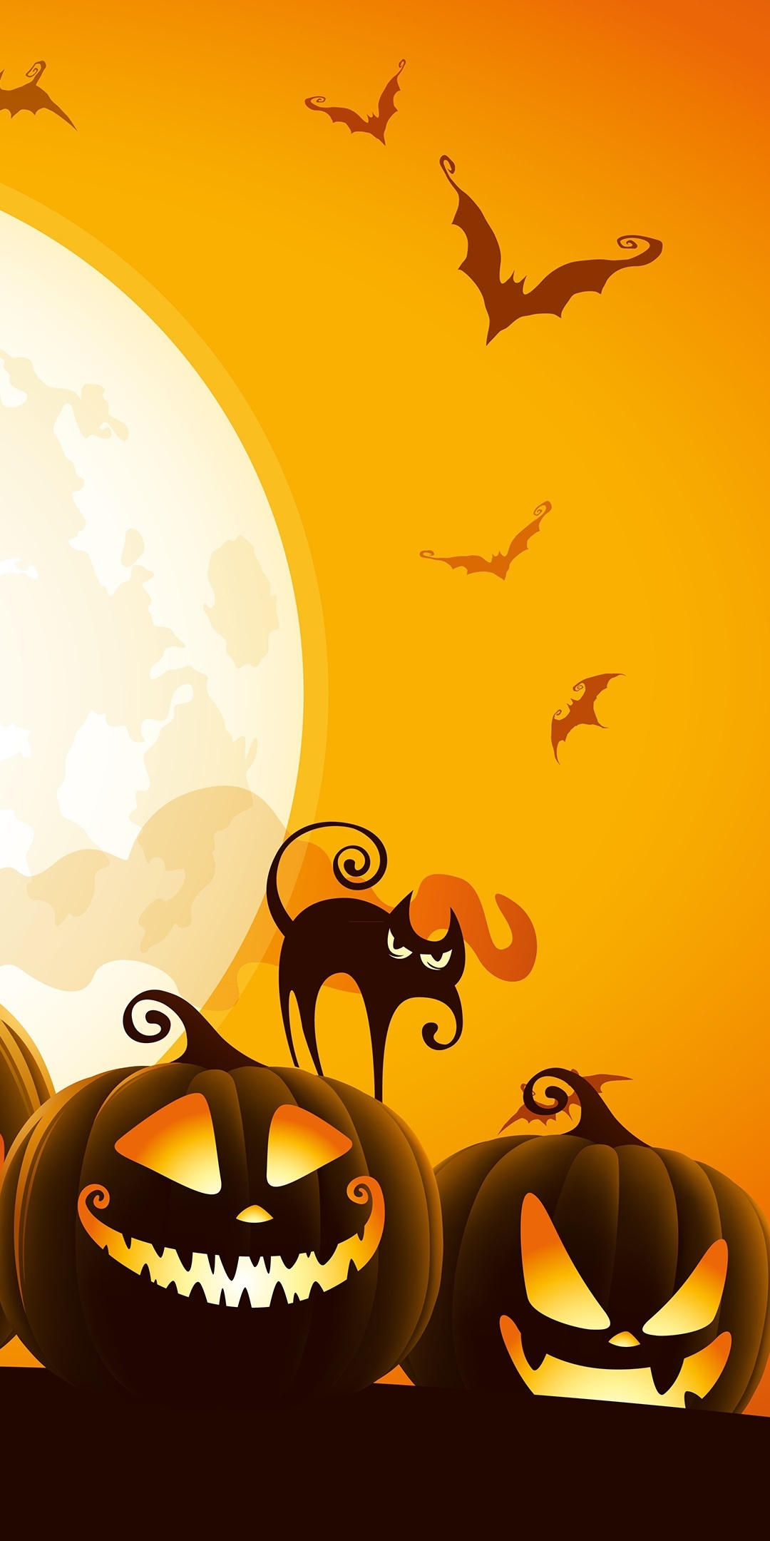 Download mobile wallpaper Halloween, Cat, Holiday, Bat, Jack O' Lantern for free.