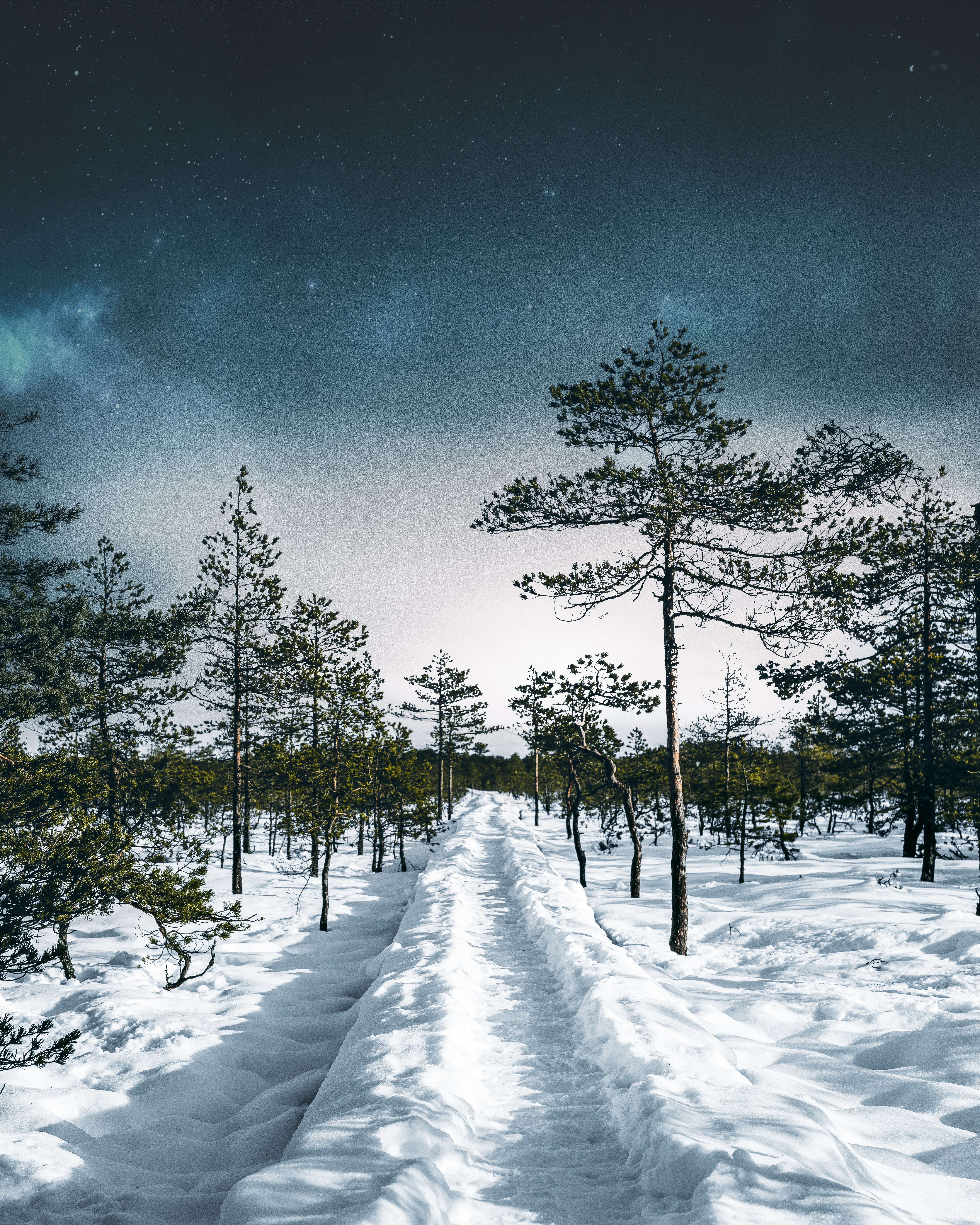 Download mobile wallpaper Path, Trees, Snow, Forest, Winter, Sky, Nature for free.