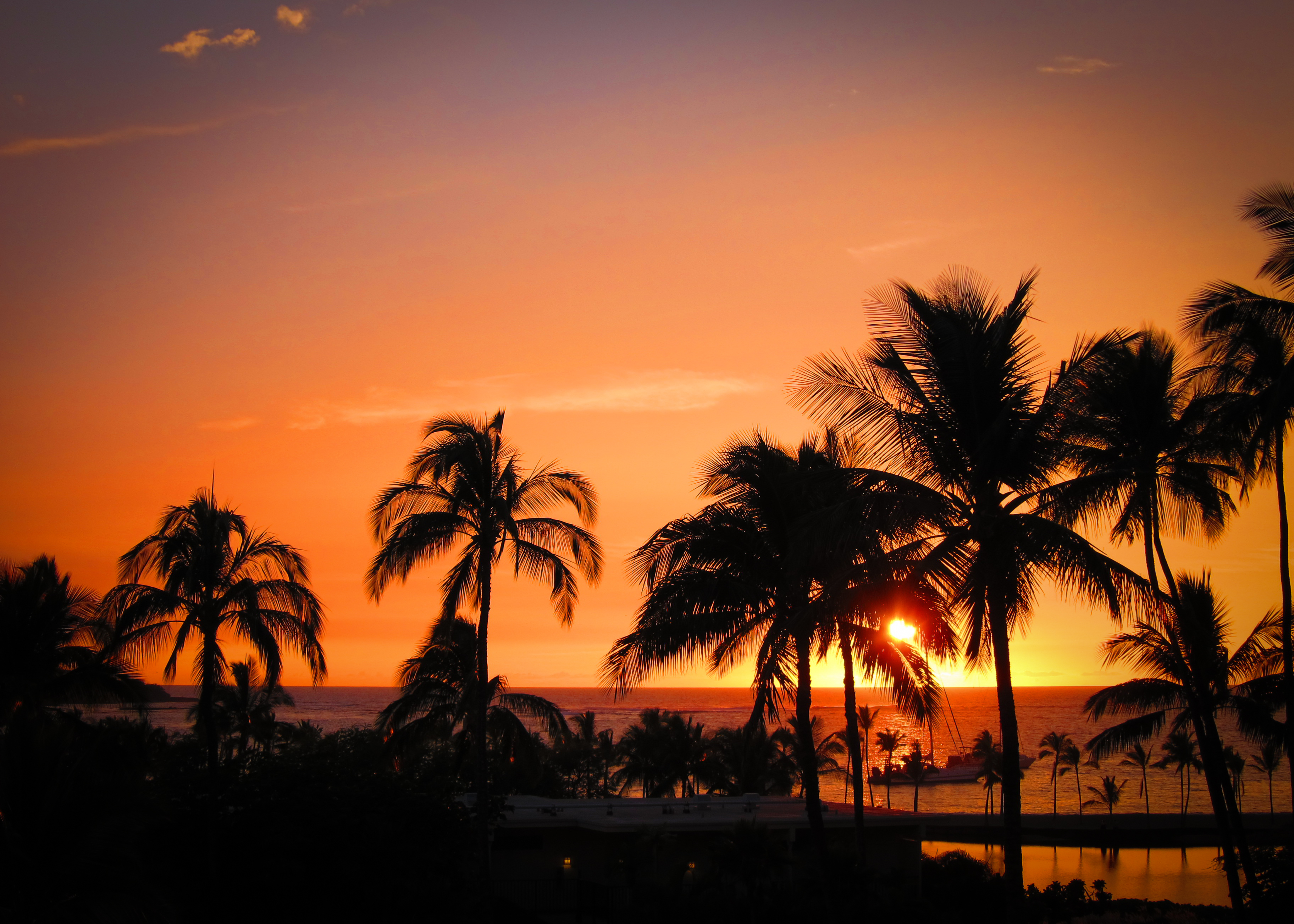 142586 télécharger le fond d'écran hawaii, palms, nature, coucher de soleil, horizon, océan, tropiques, hawaï - économiseurs d'écran et images gratuitement