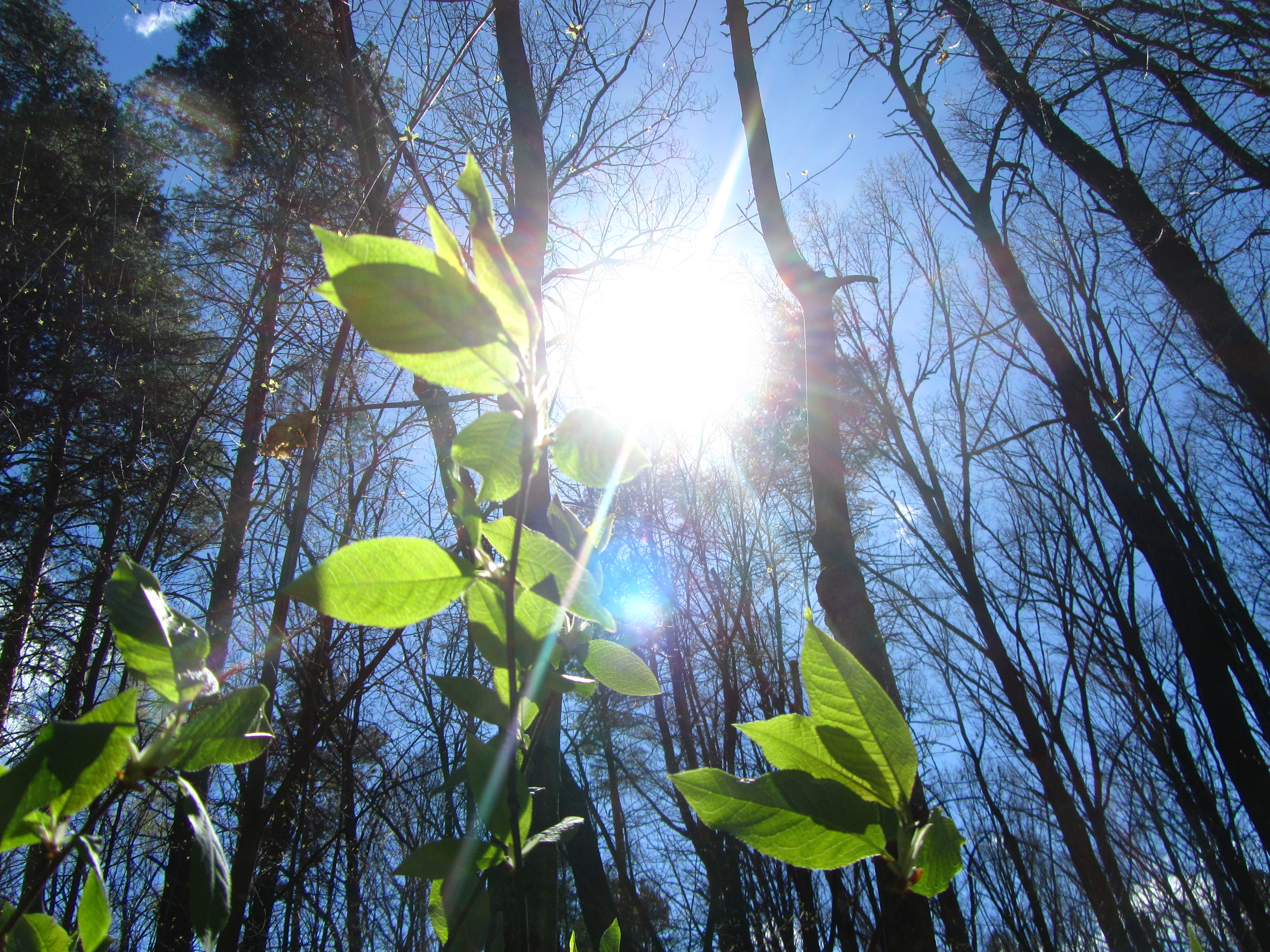 Free download wallpaper Earth, Sunbeam on your PC desktop