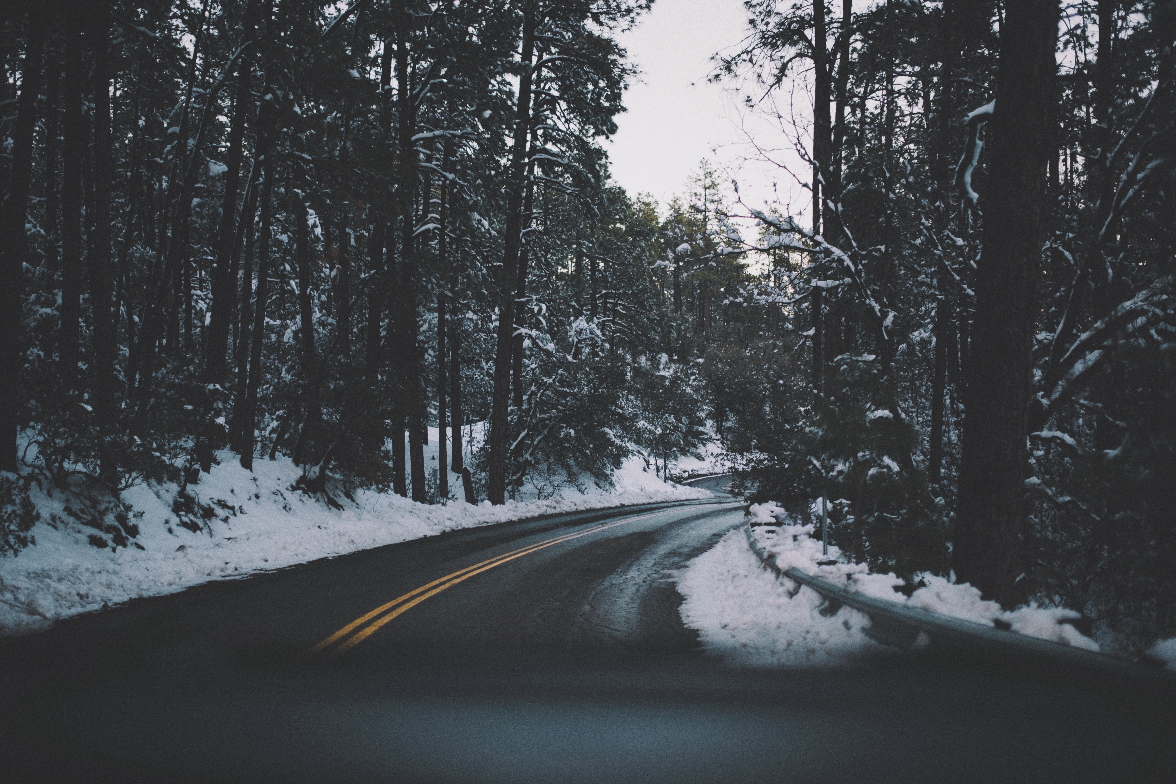 無料モバイル壁紙自然, 道路, 雪, 回る, 順番, アスファルト, 木, 道をダウンロードします。