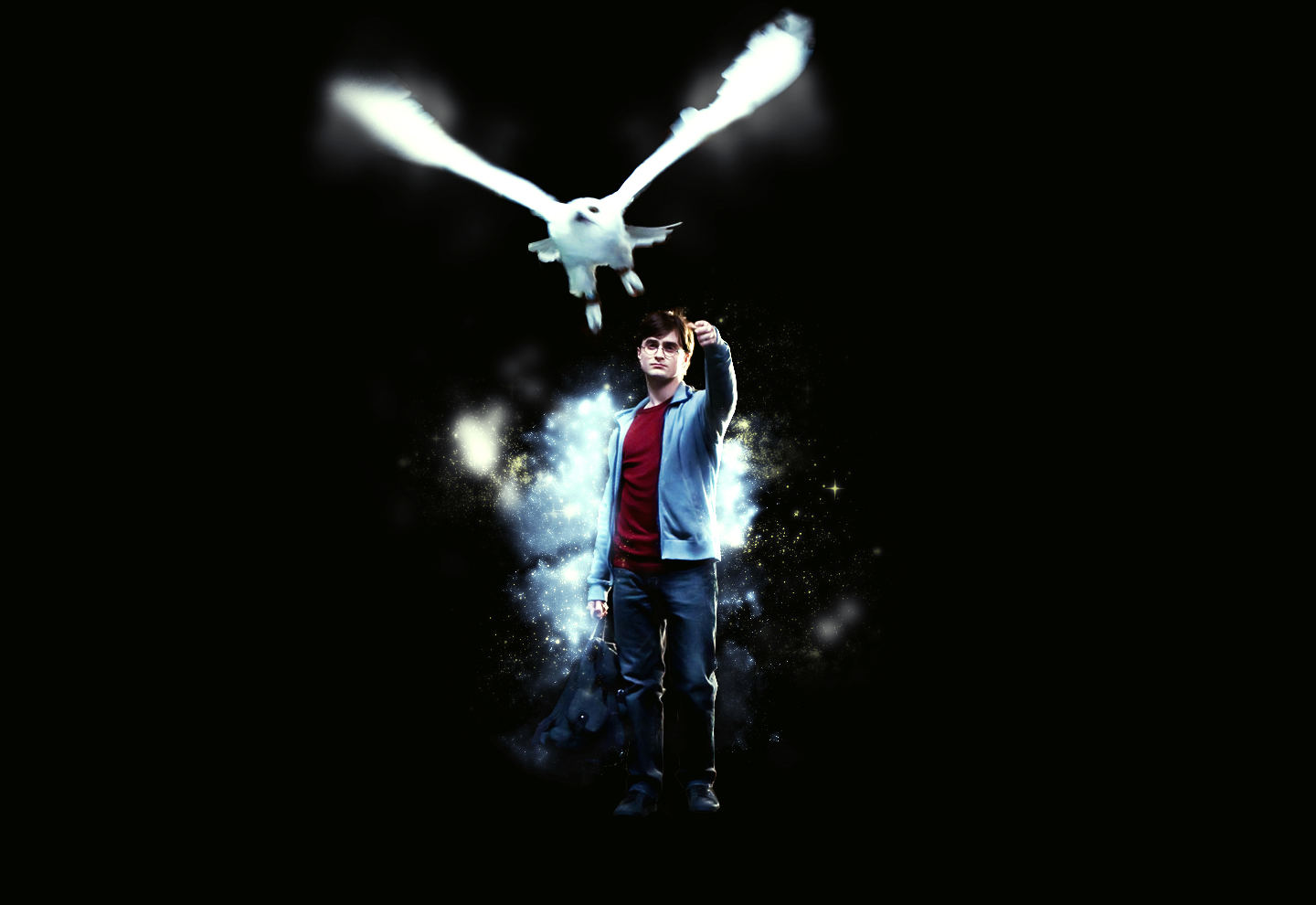 harry potter, owl, daniel radcliffe, movie, harry potter and the deathly hallows: part 1