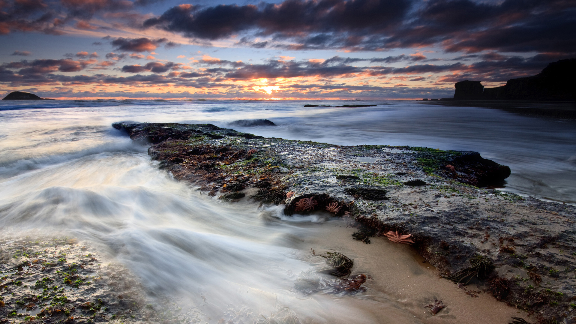 Descarga gratis la imagen Atardecer, Tierra/naturaleza en el escritorio de tu PC