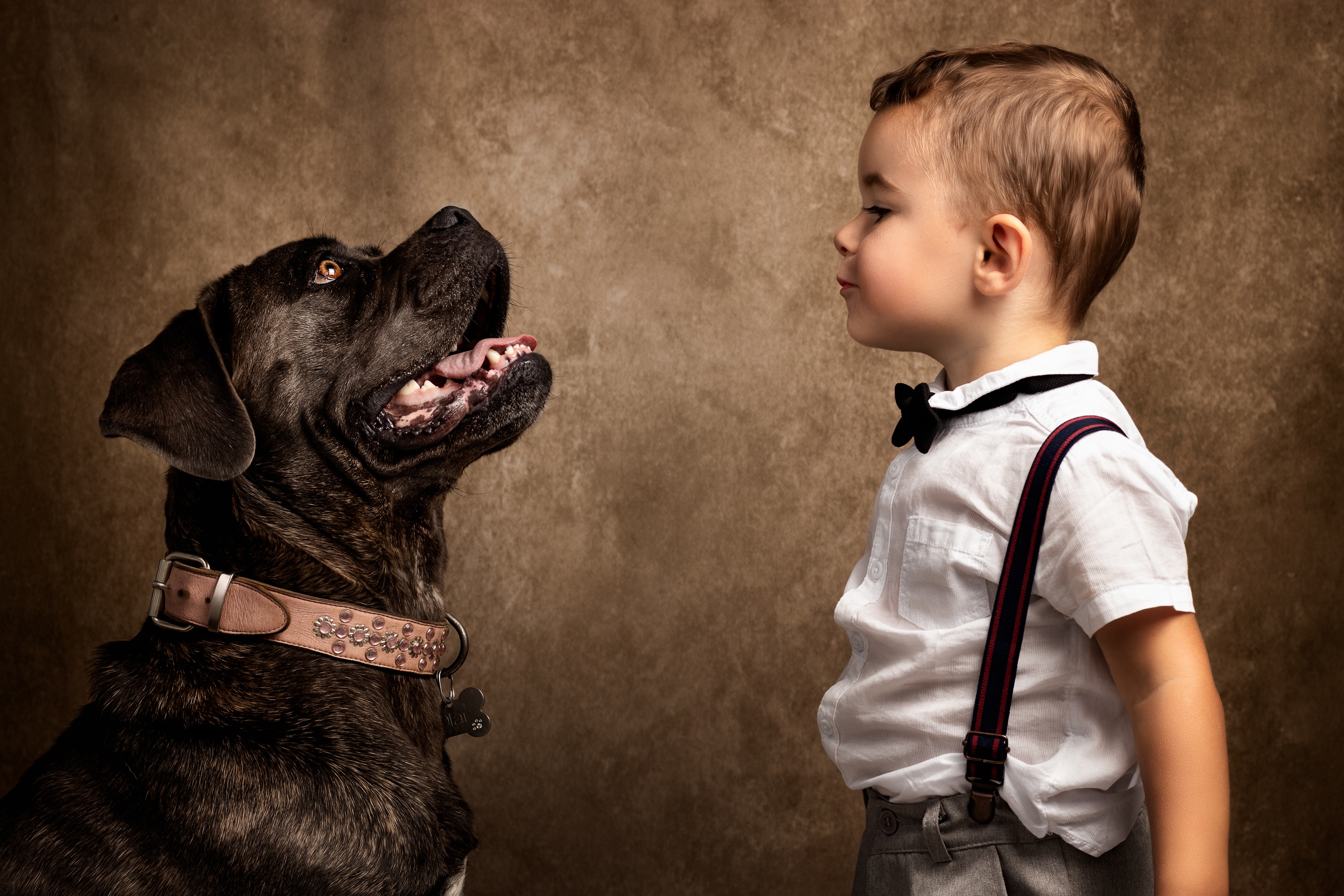 Free download wallpaper Dog, Child, Profile, Collar, Photography on your PC desktop