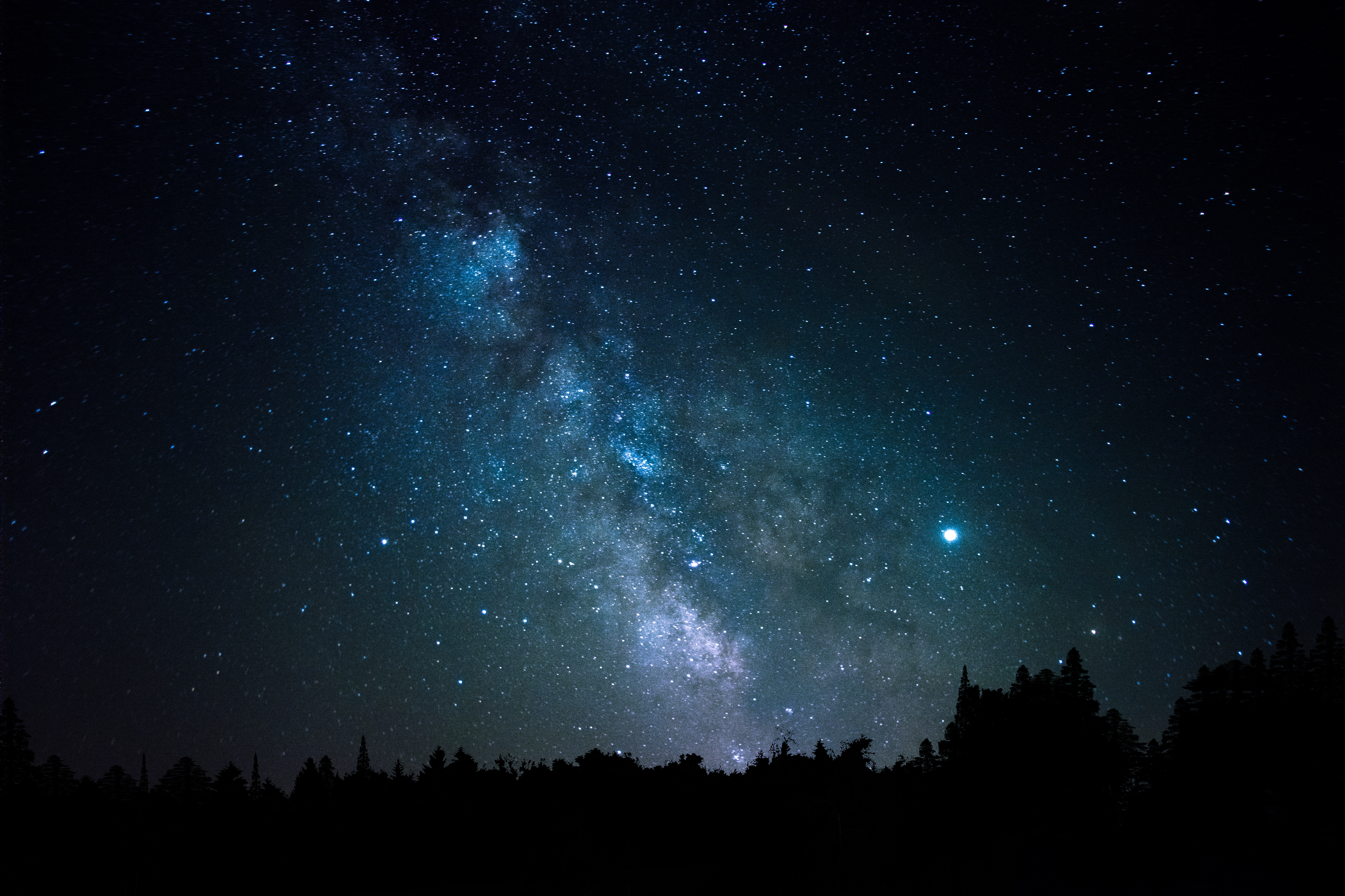 103215 скачать картинку космос, звезды, деревья, созвездие - обои и заставки бесплатно