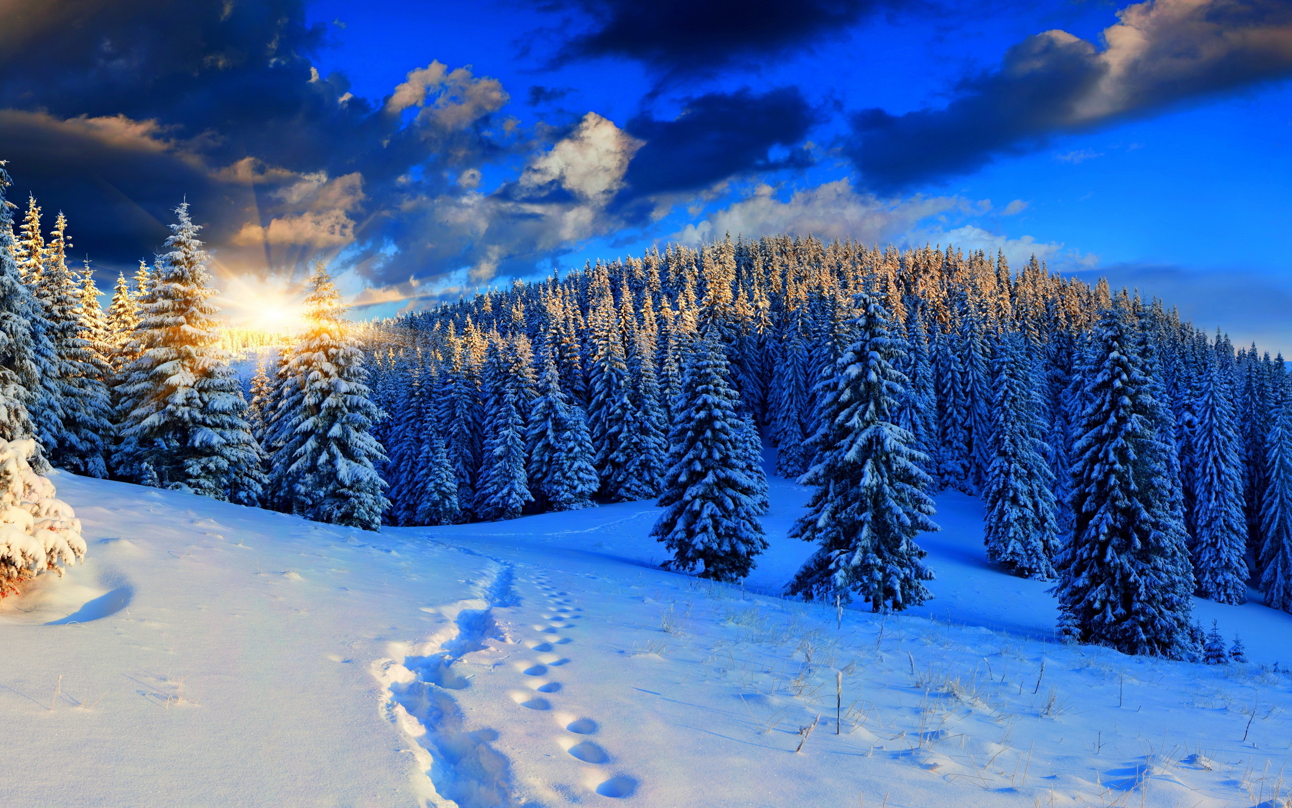 Download mobile wallpaper Winter, Earth for free.