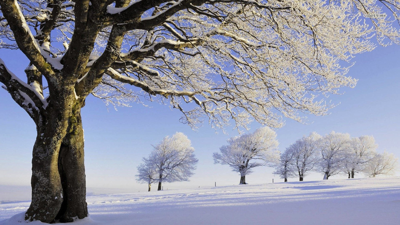 Téléchargez des papiers peints mobile Hiver, Terre/nature gratuitement.