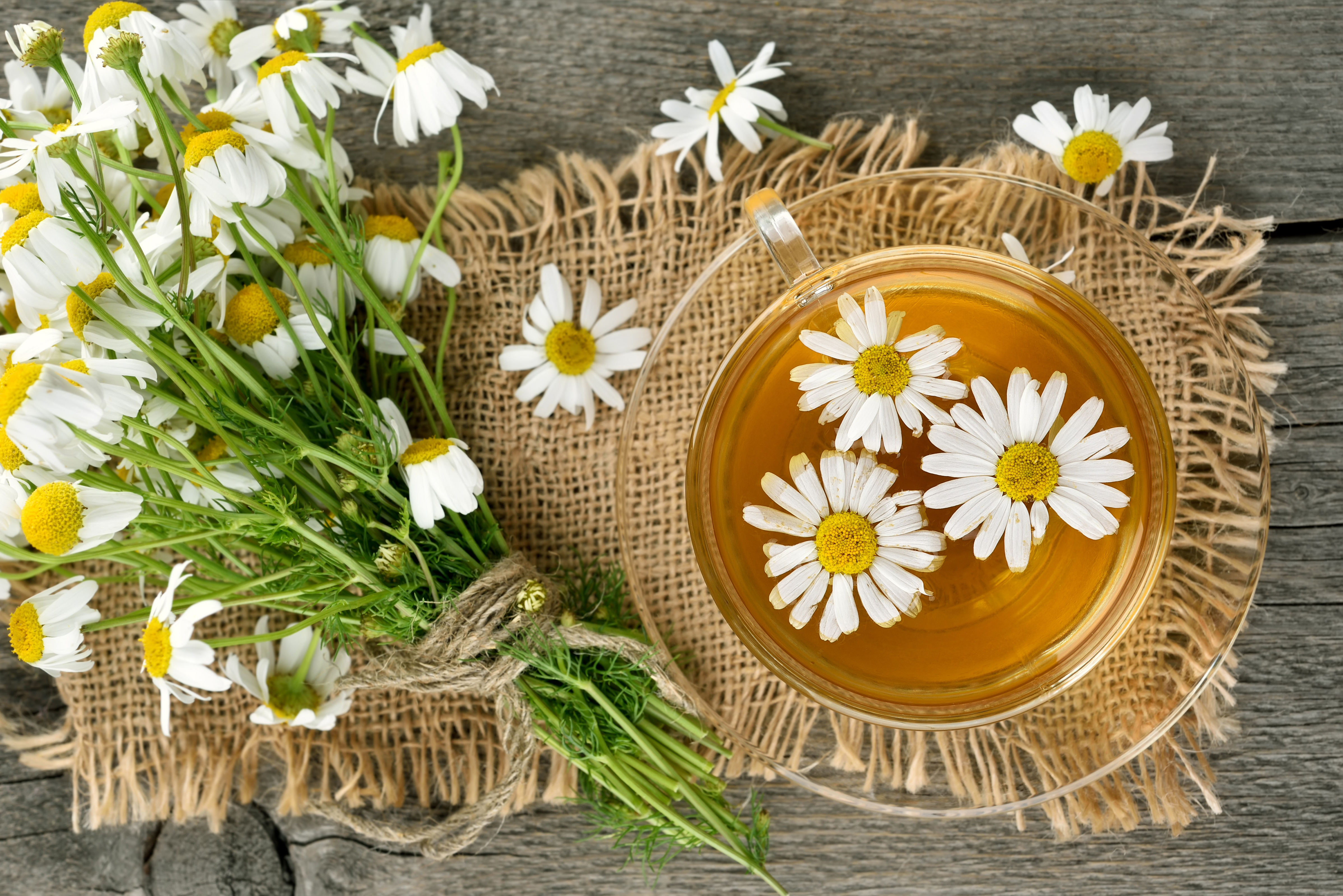 Download mobile wallpaper Food, Flower, Cup, Tea, White Flower for free.