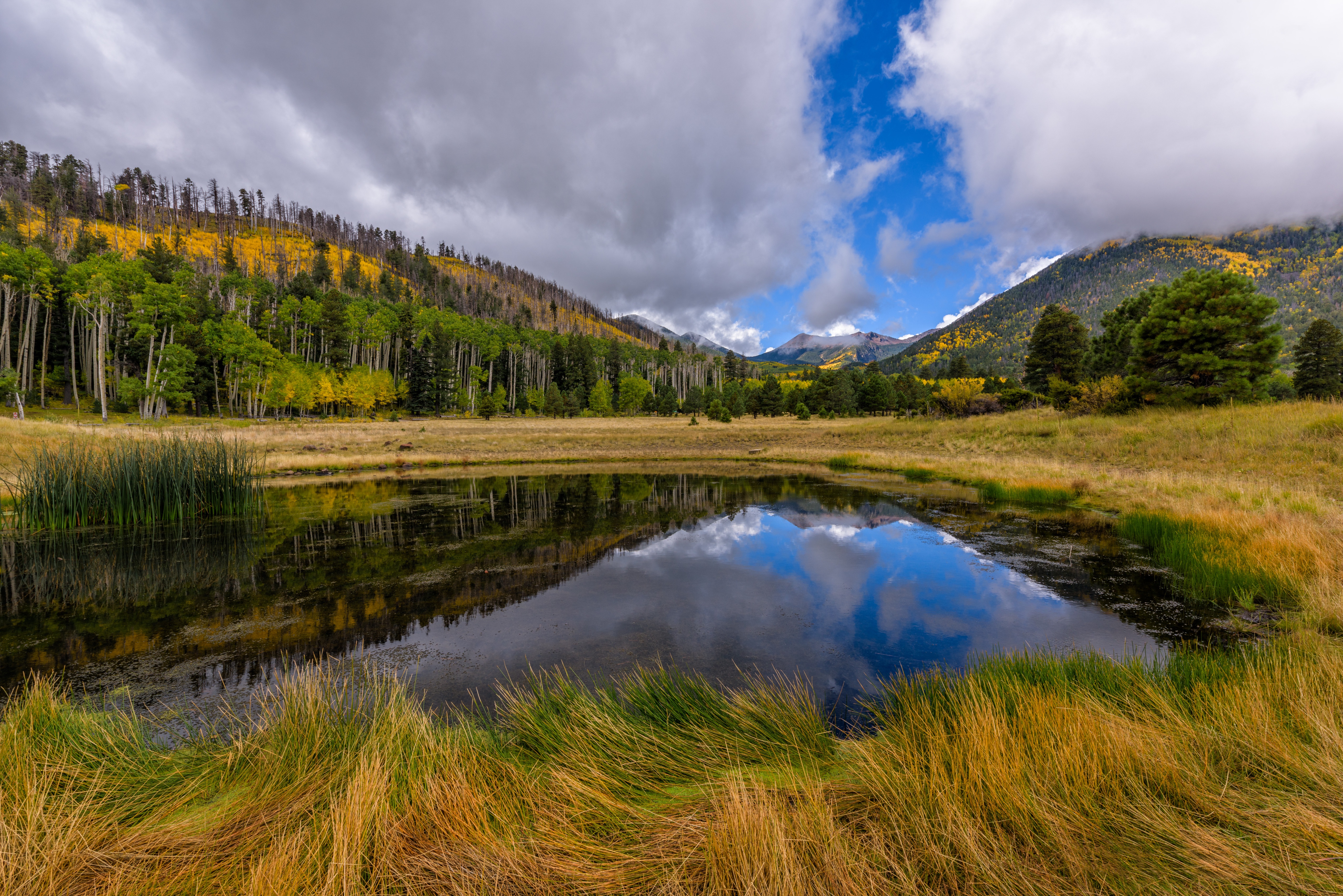 Laden Sie das Landschaft, See, Wald, Gebirge, Wolke, Himmel, Erde/natur-Bild kostenlos auf Ihren PC-Desktop herunter