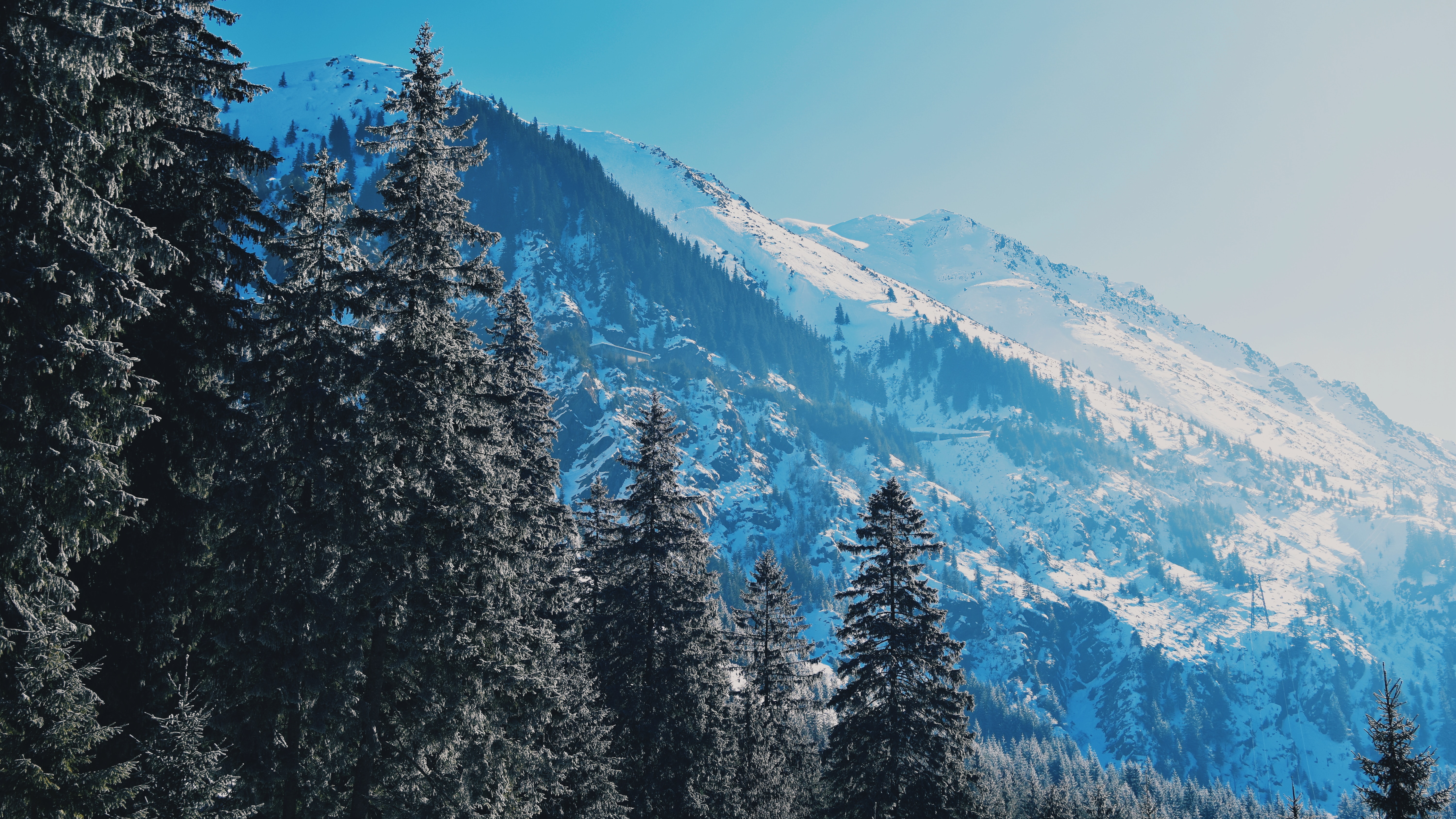 116693 télécharger le fond d'écran snowbound, nature, arbres, montagnes, pin, couvert de neige, pistes, pentes - économiseurs d'écran et images gratuitement