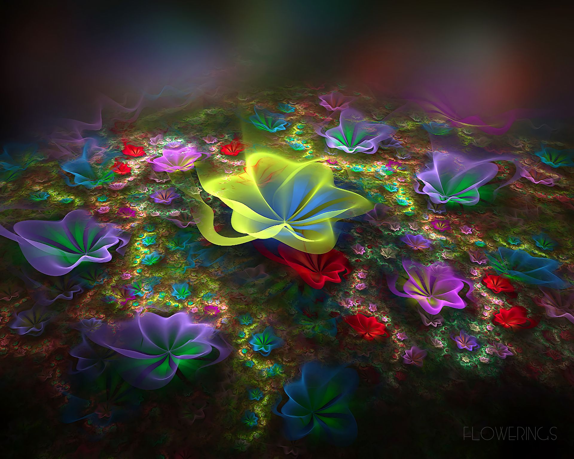 Free download wallpaper Abstract, Flower, Fractal on your PC desktop