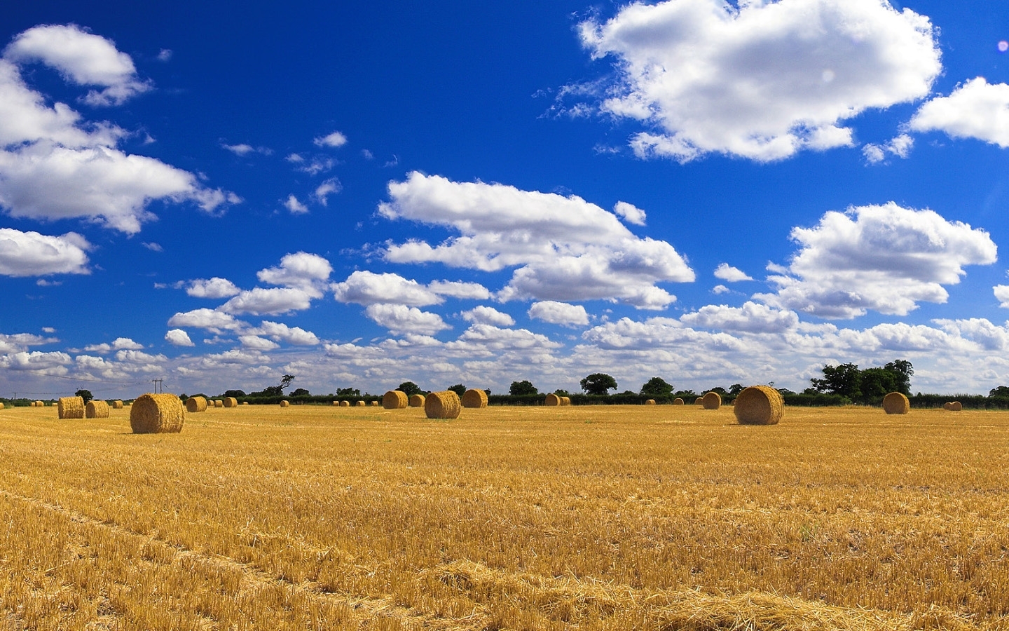 fields, landscape, blue HD wallpaper