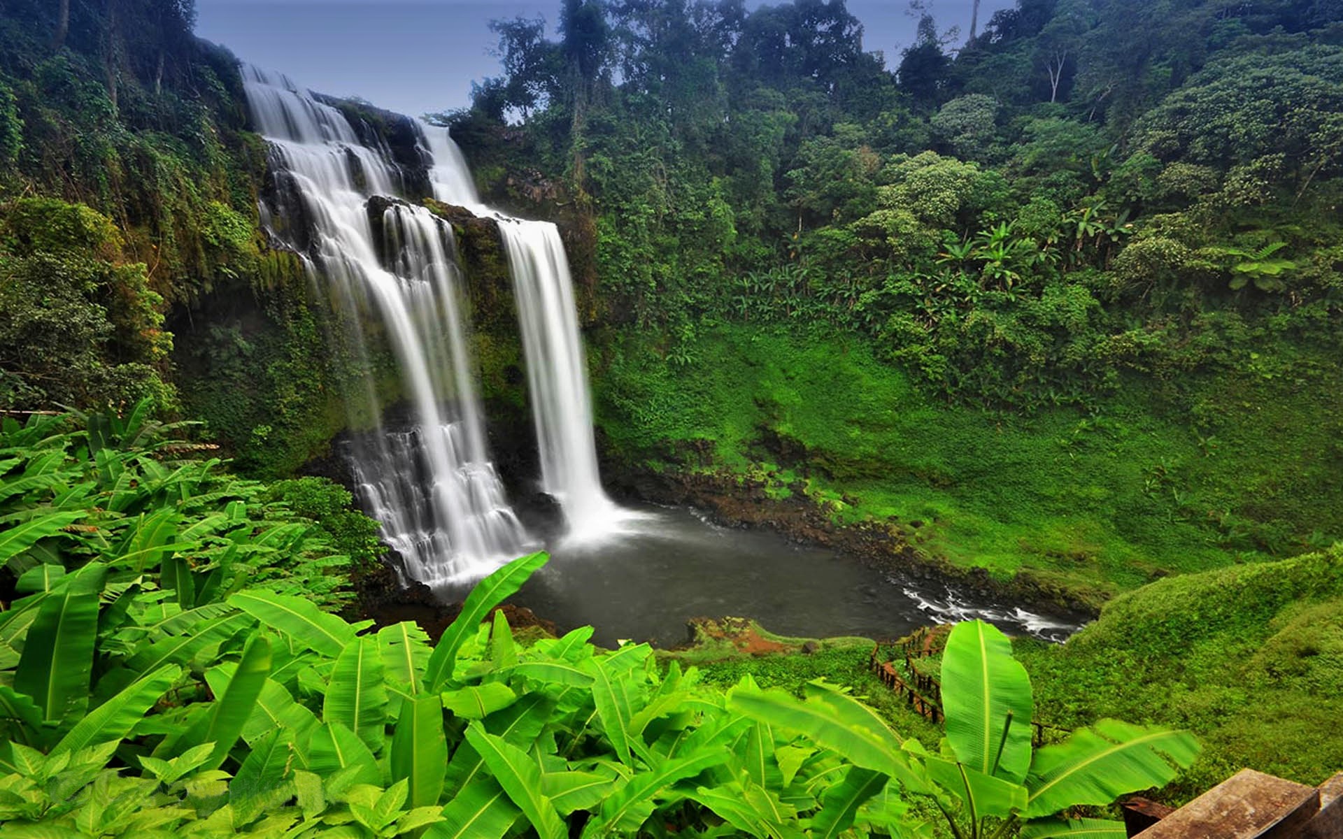cambodia, jungle, earth, waterfall, rainforest, tree, waterfalls