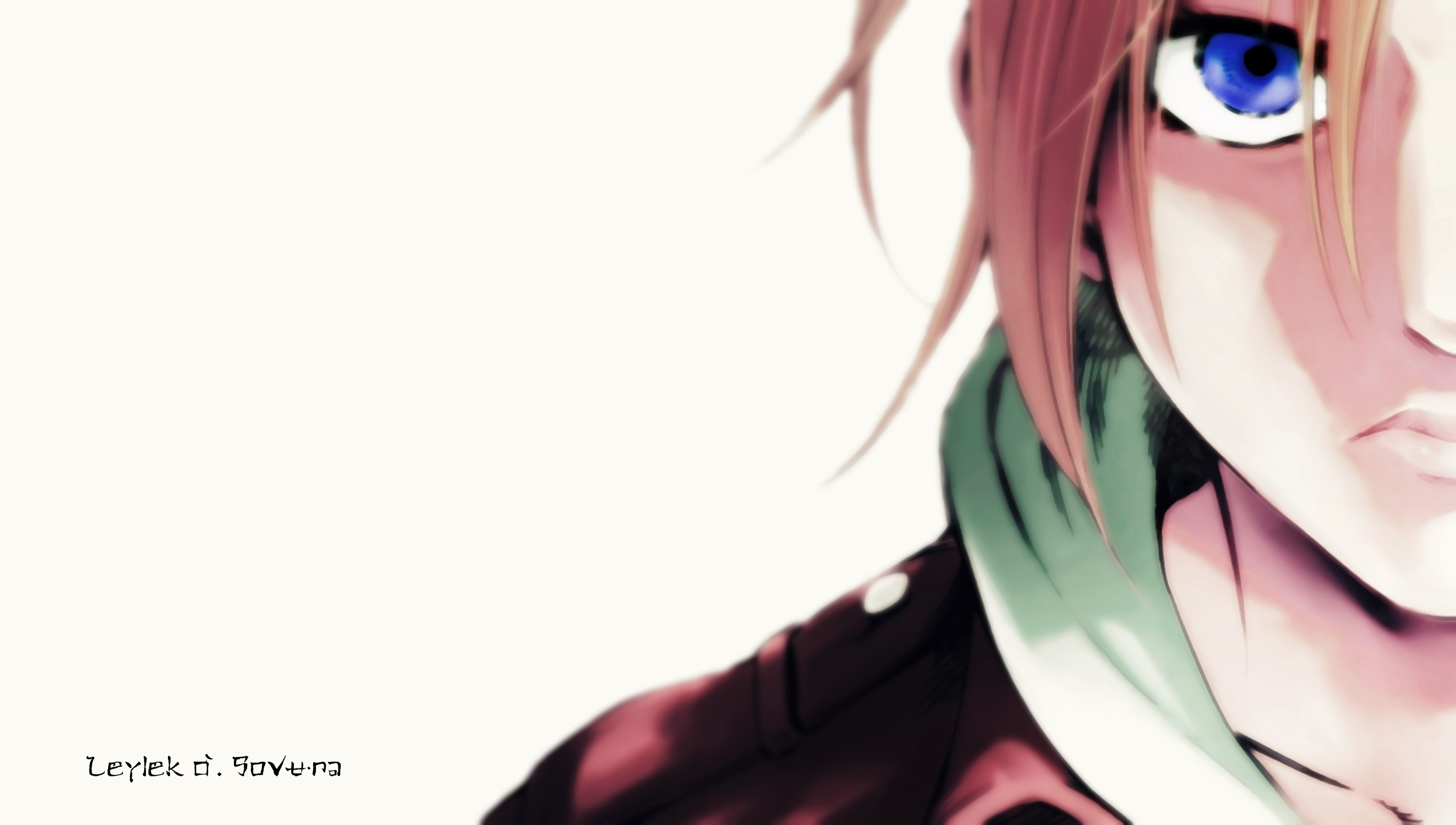 Handy-Wallpaper Animes, Attack On Titan, Anni Leonhart kostenlos herunterladen.