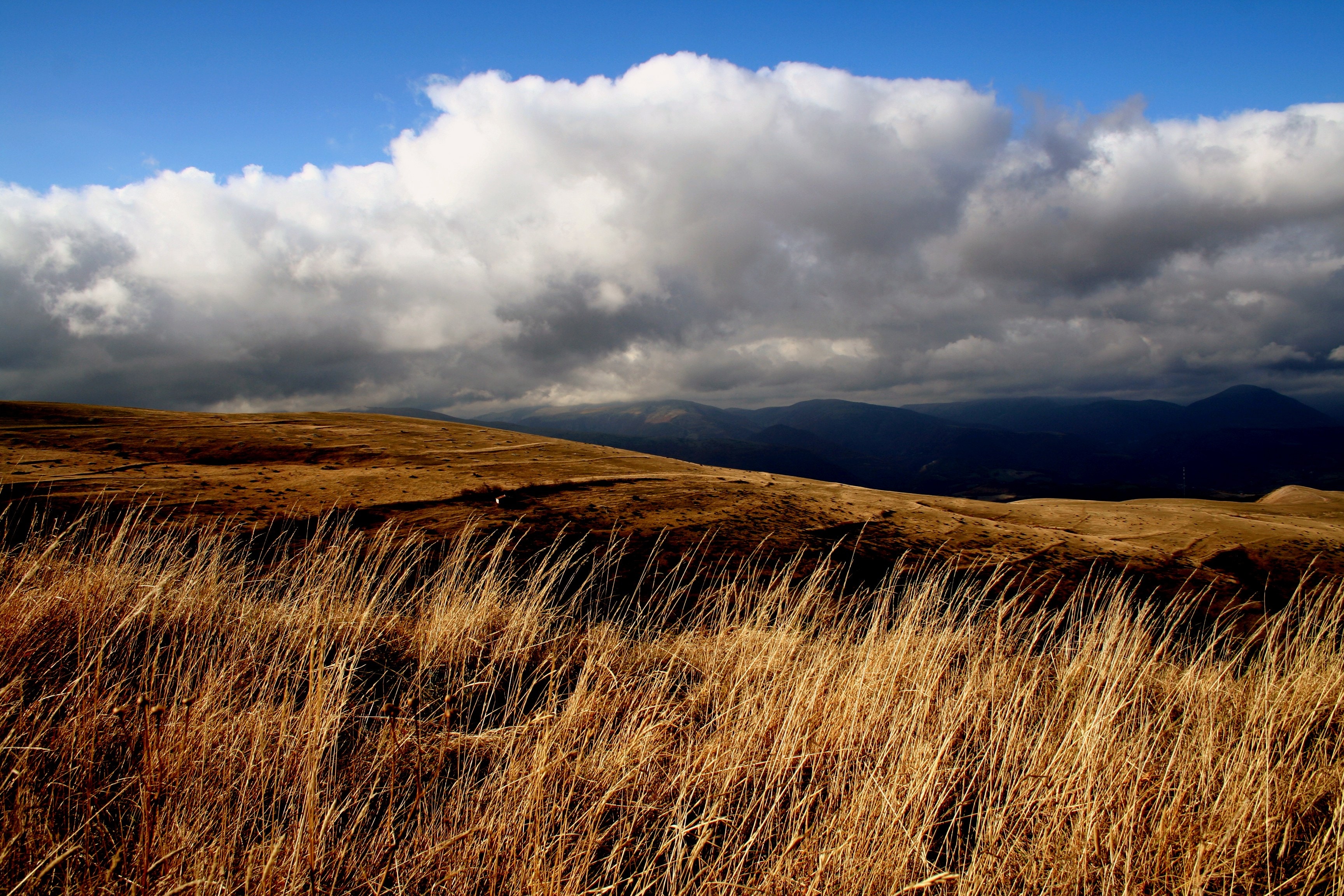 Laden Sie das Natur, Clouds, Grass, Sky, Feld-Bild kostenlos auf Ihren PC-Desktop herunter