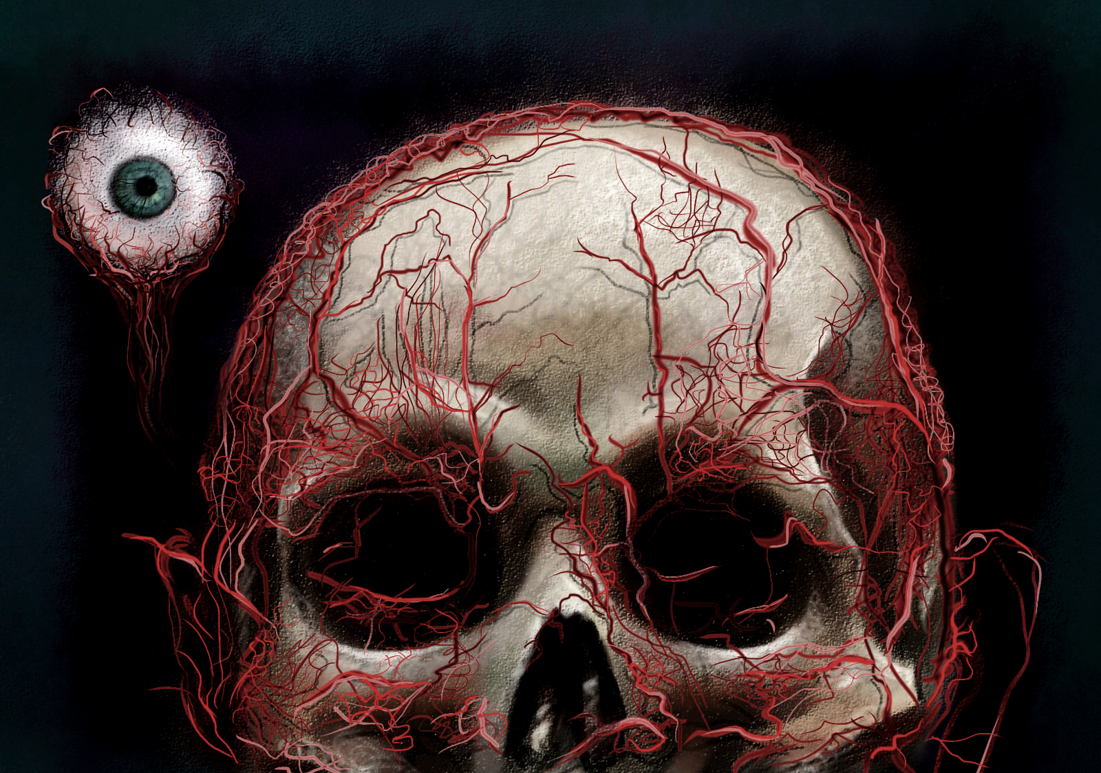 Download mobile wallpaper Dark, Skull for free.