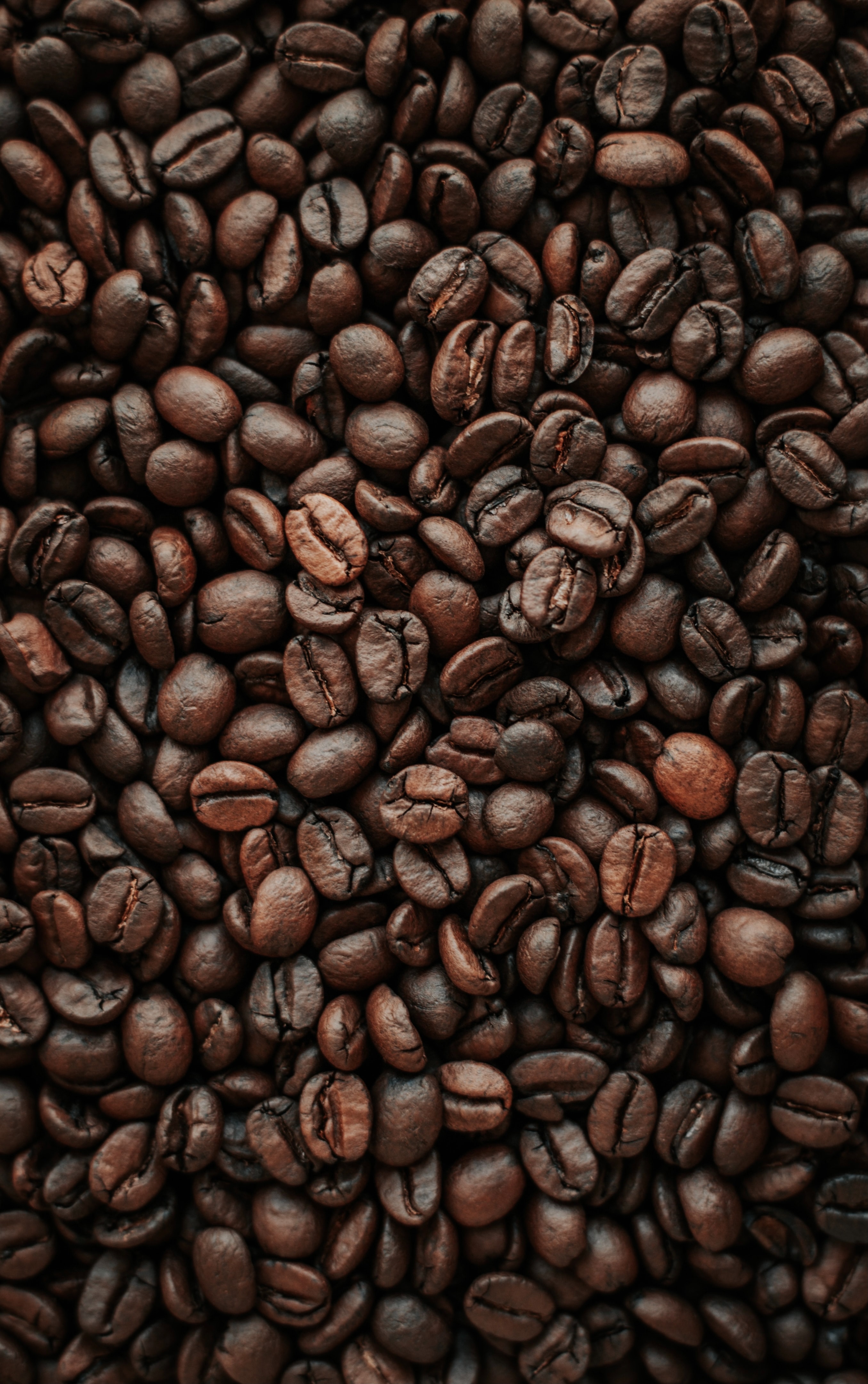 142591 скачать картинку кофейные зерна, макро, еда, кофе, коричневый, зерна, обжарка - обои и заставки бесплатно