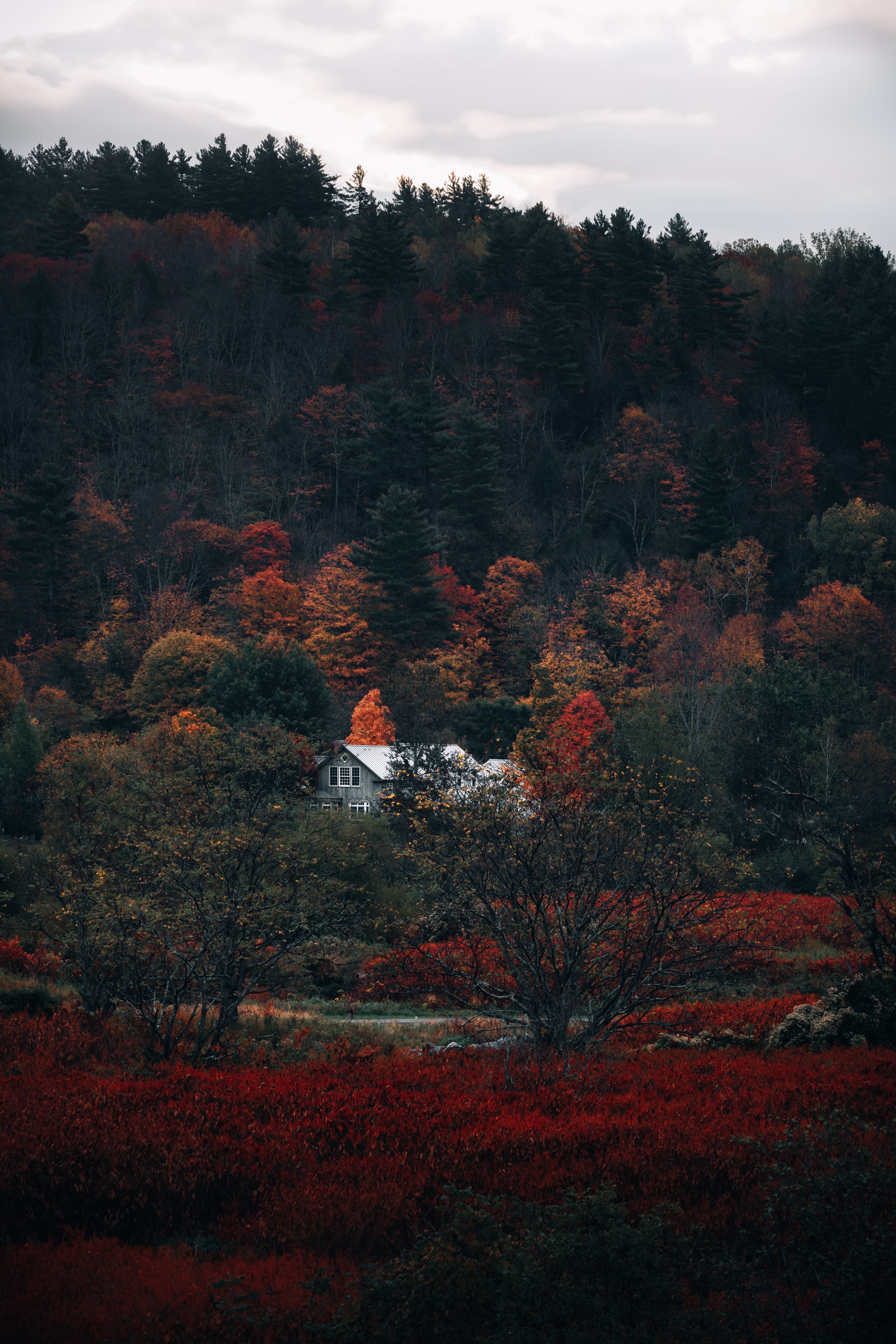 Handy-Wallpaper Wald, Natur, Haus, Herbst kostenlos herunterladen.