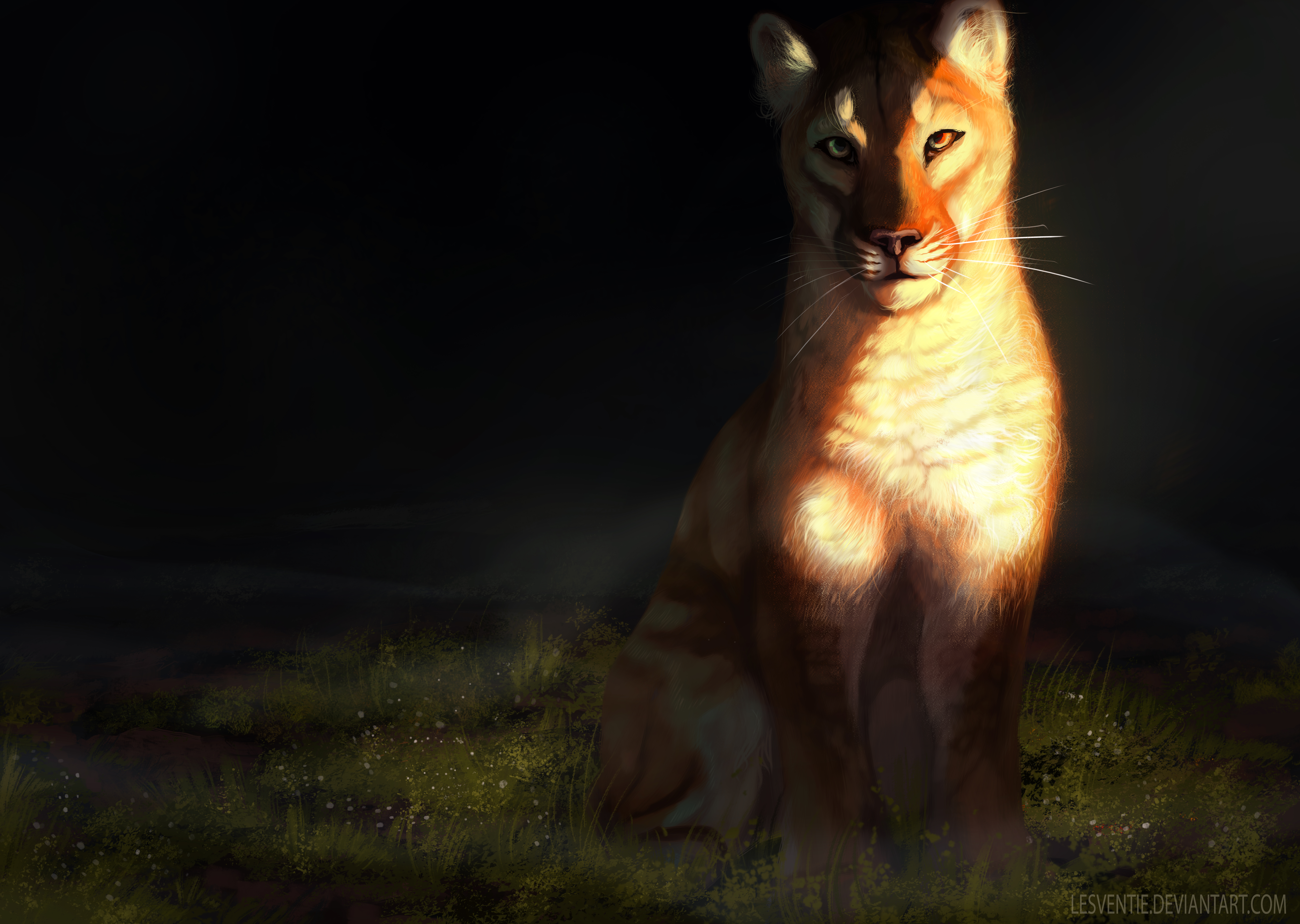 Free download wallpaper Sight, Opinion, Big Cat, Lioness, Art on your PC desktop