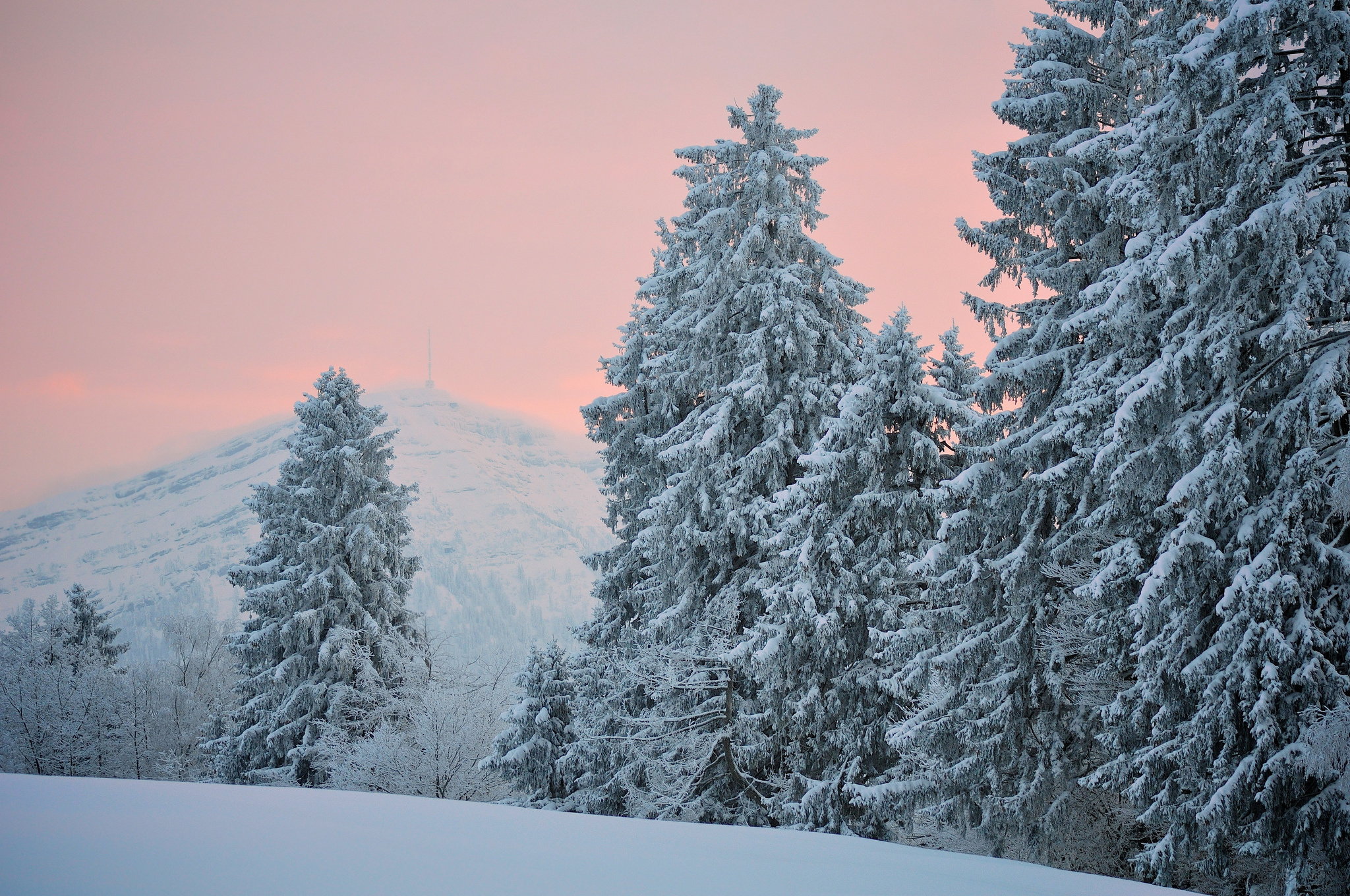 Descarga gratis la imagen Invierno, Tierra/naturaleza en el escritorio de tu PC