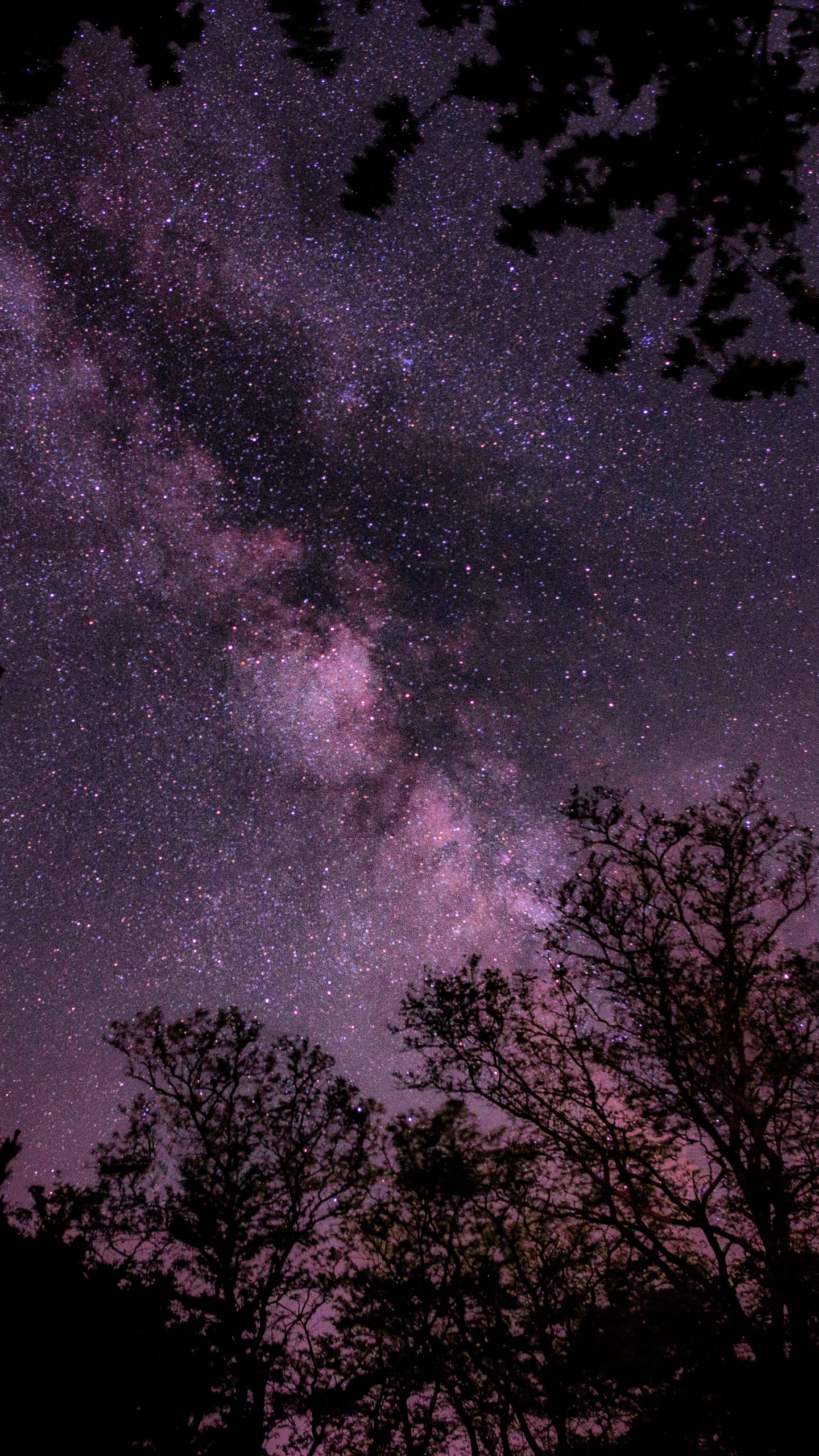 Handy-Wallpaper Sterne, Silhouette, Baum, Milchstraße, Nacht, Himmel, Erde/natur, Sternenklarer Himmel kostenlos herunterladen.