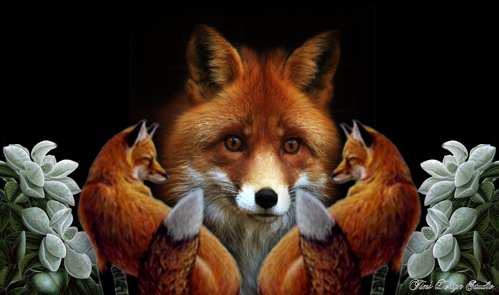 Download mobile wallpaper Fox, Flower, Dark, Animal for free.