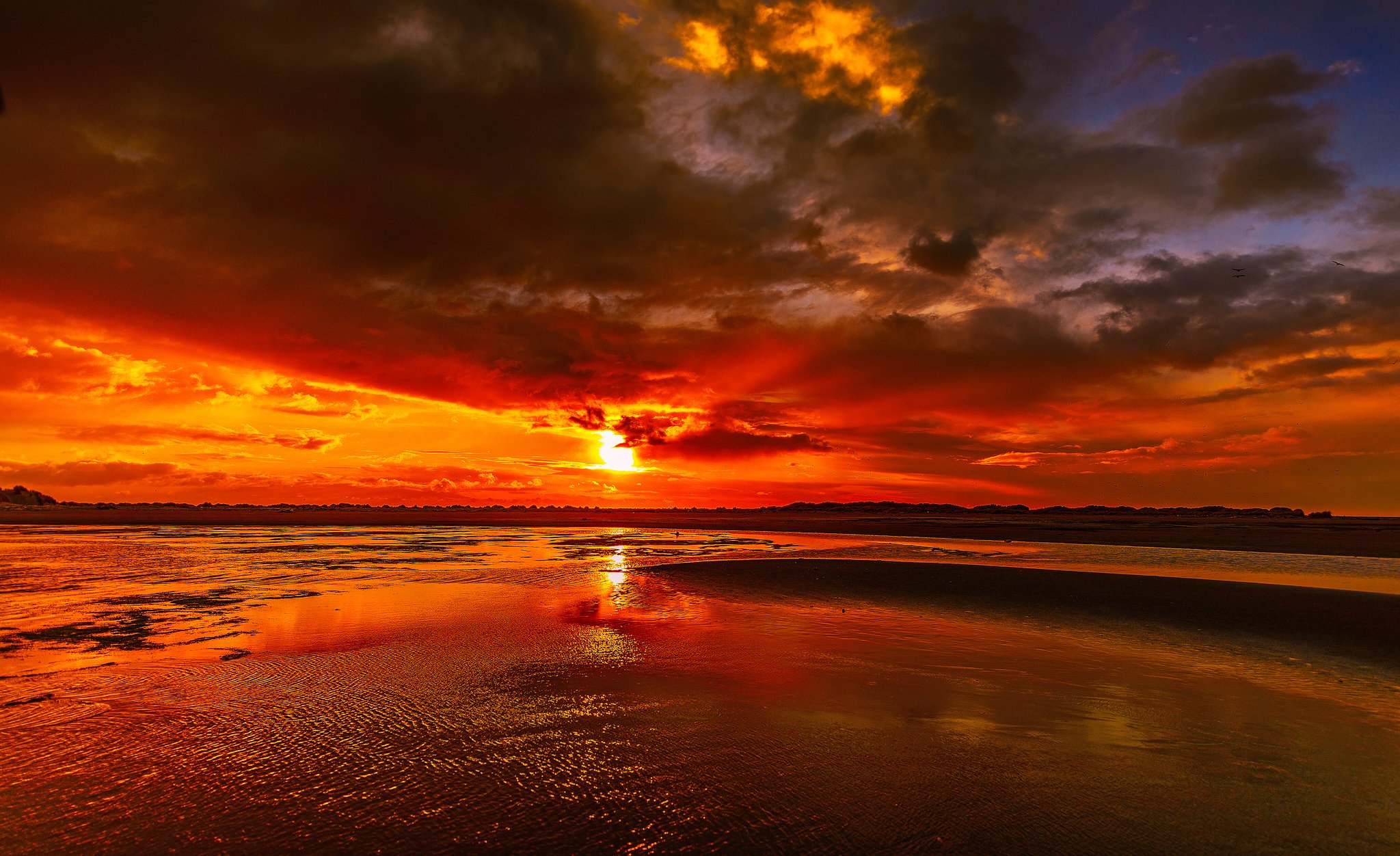 Скачать обои бесплатно Небо, Солнце, Облака, Пляж, Земля/природа, Закат Солнца, Оранжевый Цвет) картинка на рабочий стол ПК