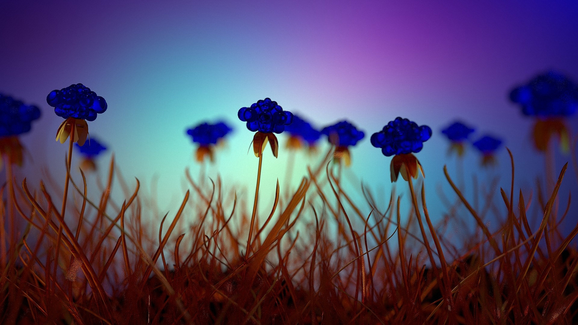 Laden Sie das Blumen, Blume, Erde/natur-Bild kostenlos auf Ihren PC-Desktop herunter