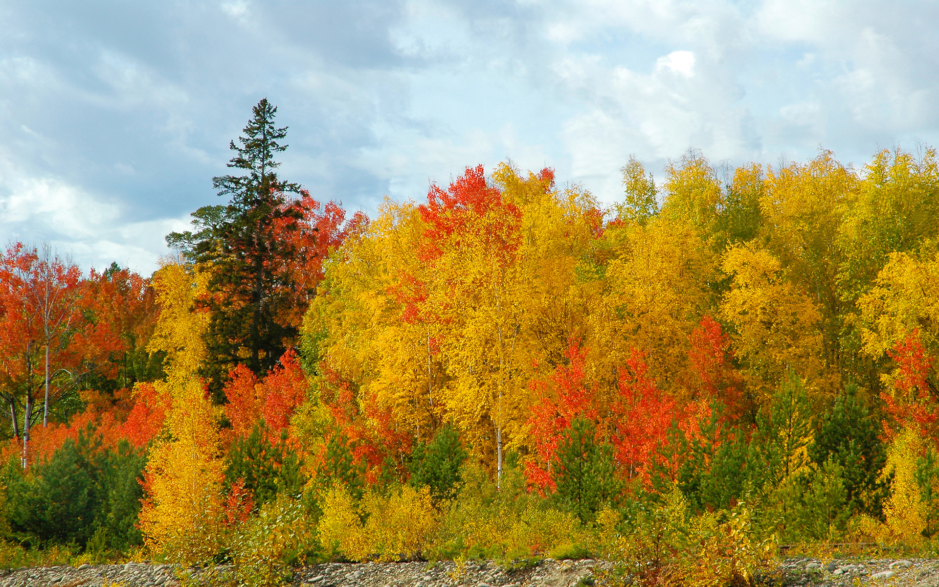 Download mobile wallpaper Landscape, Fall, Earth, Season, Scenic for free.