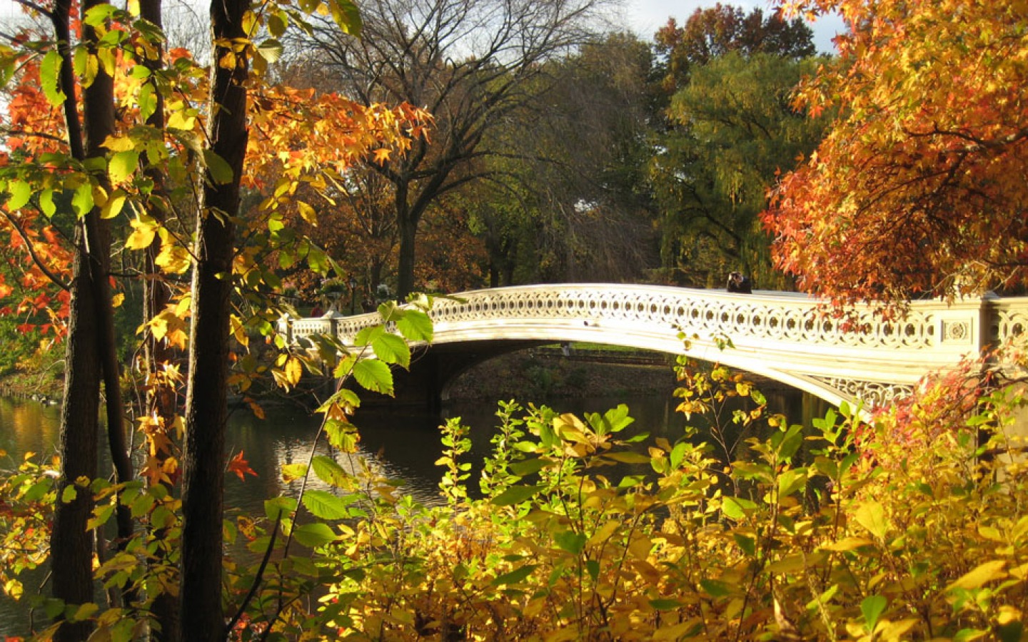 無料モバイル壁紙橋, 木, 秋, マンメイドをダウンロードします。
