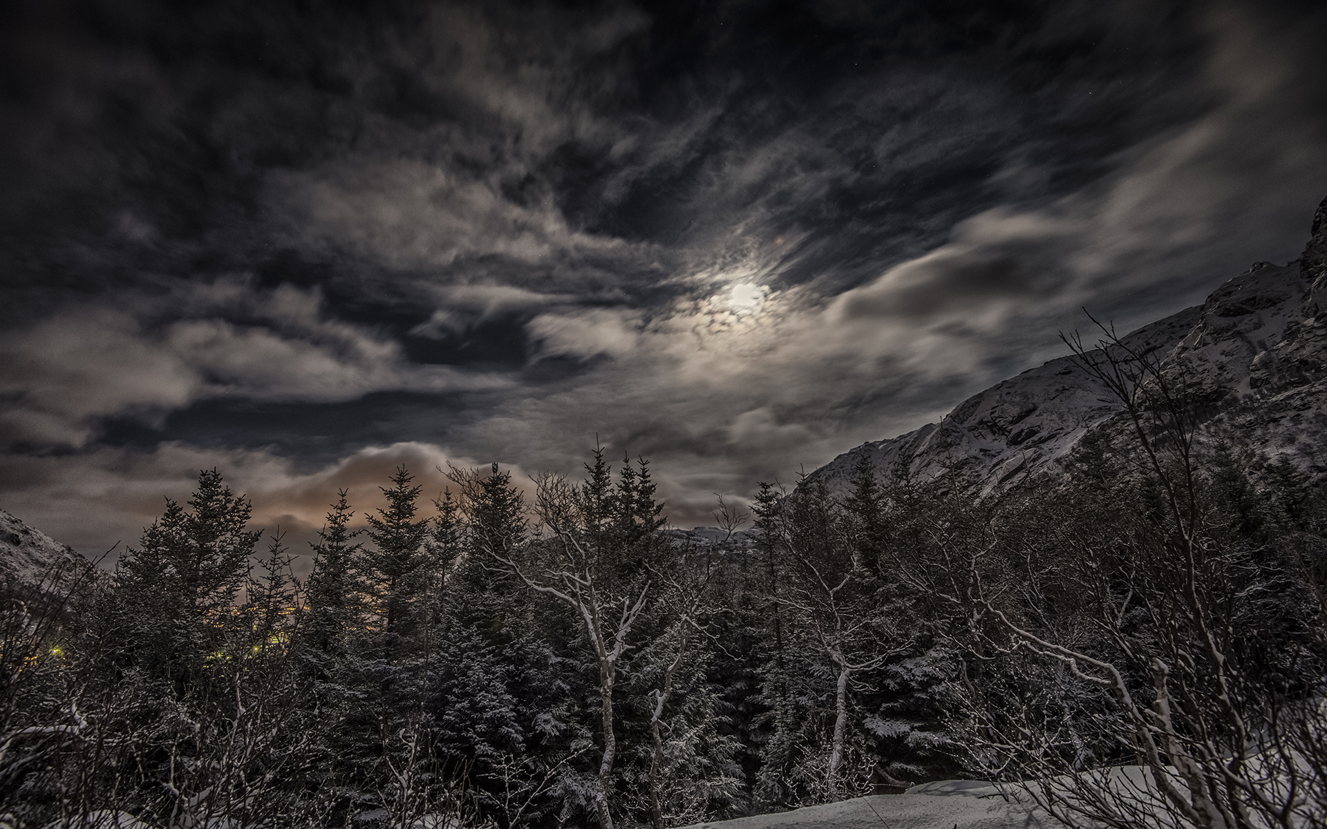 Скачать картинку Зима, Ночь, Облака, Луна, Снег, Лес, Дерево, Земля/природа в телефон бесплатно.